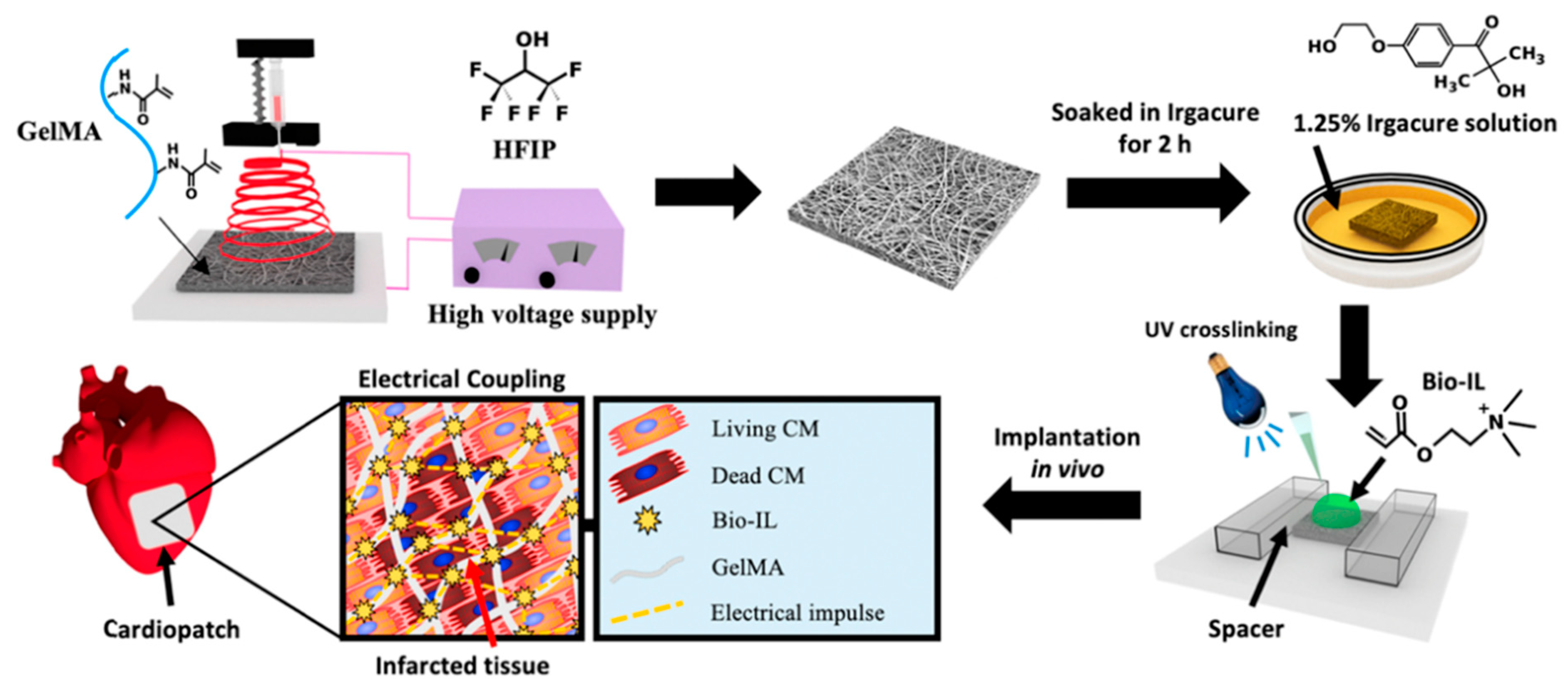 Nanomaterials 11 02401 g013