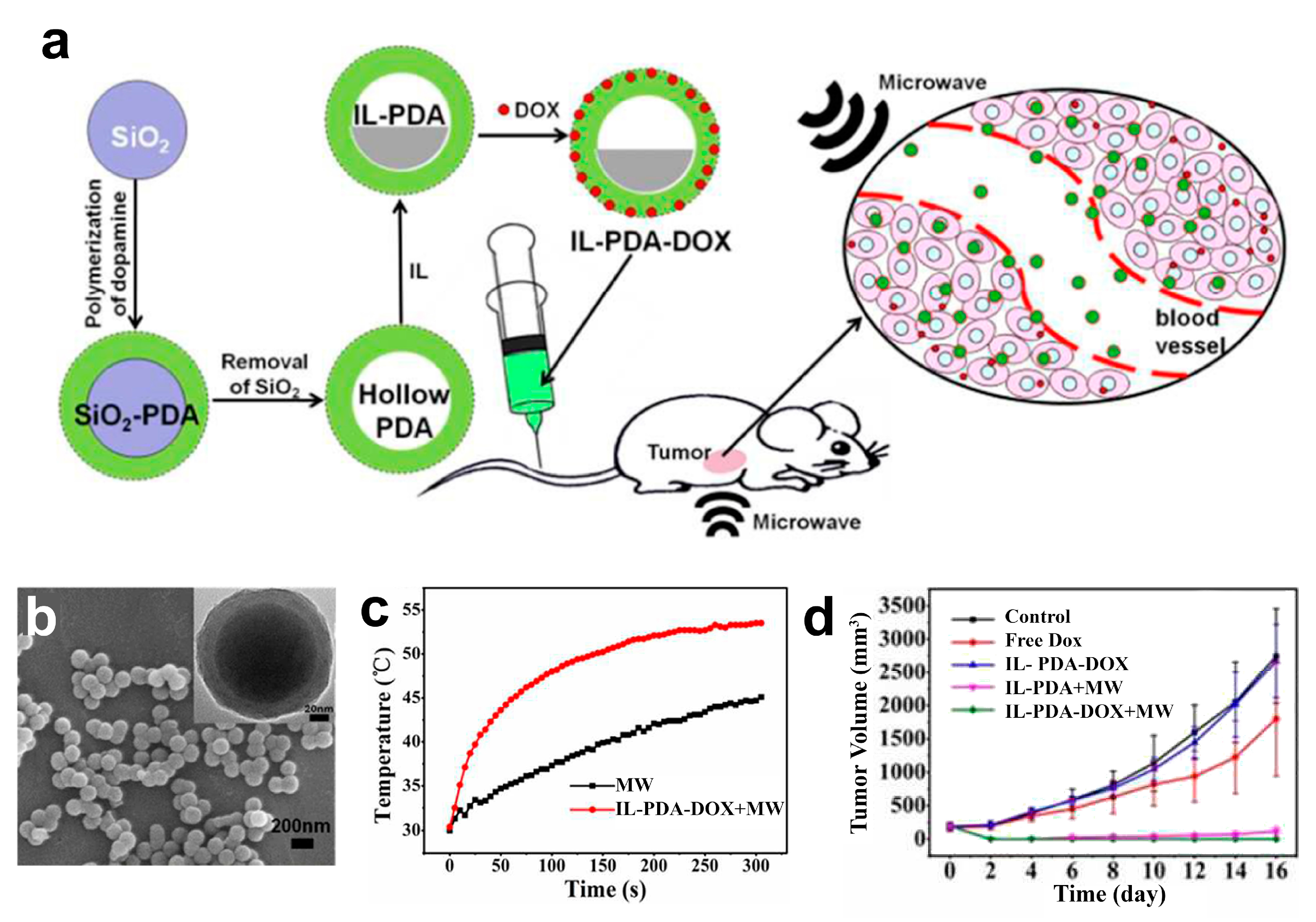 Nanomaterials 11 02401 g014