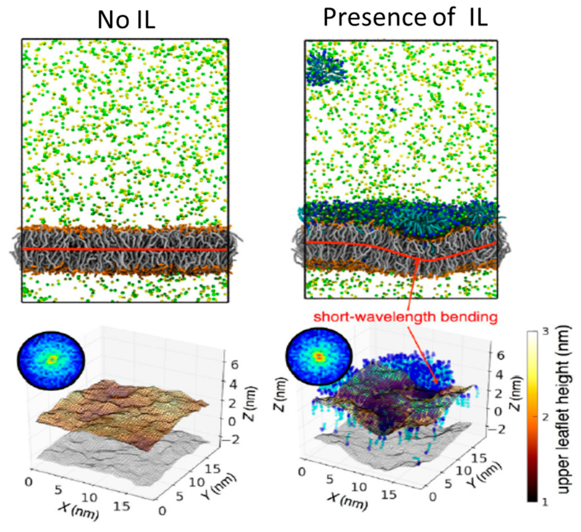 Nanomaterials 11 02401 g016
