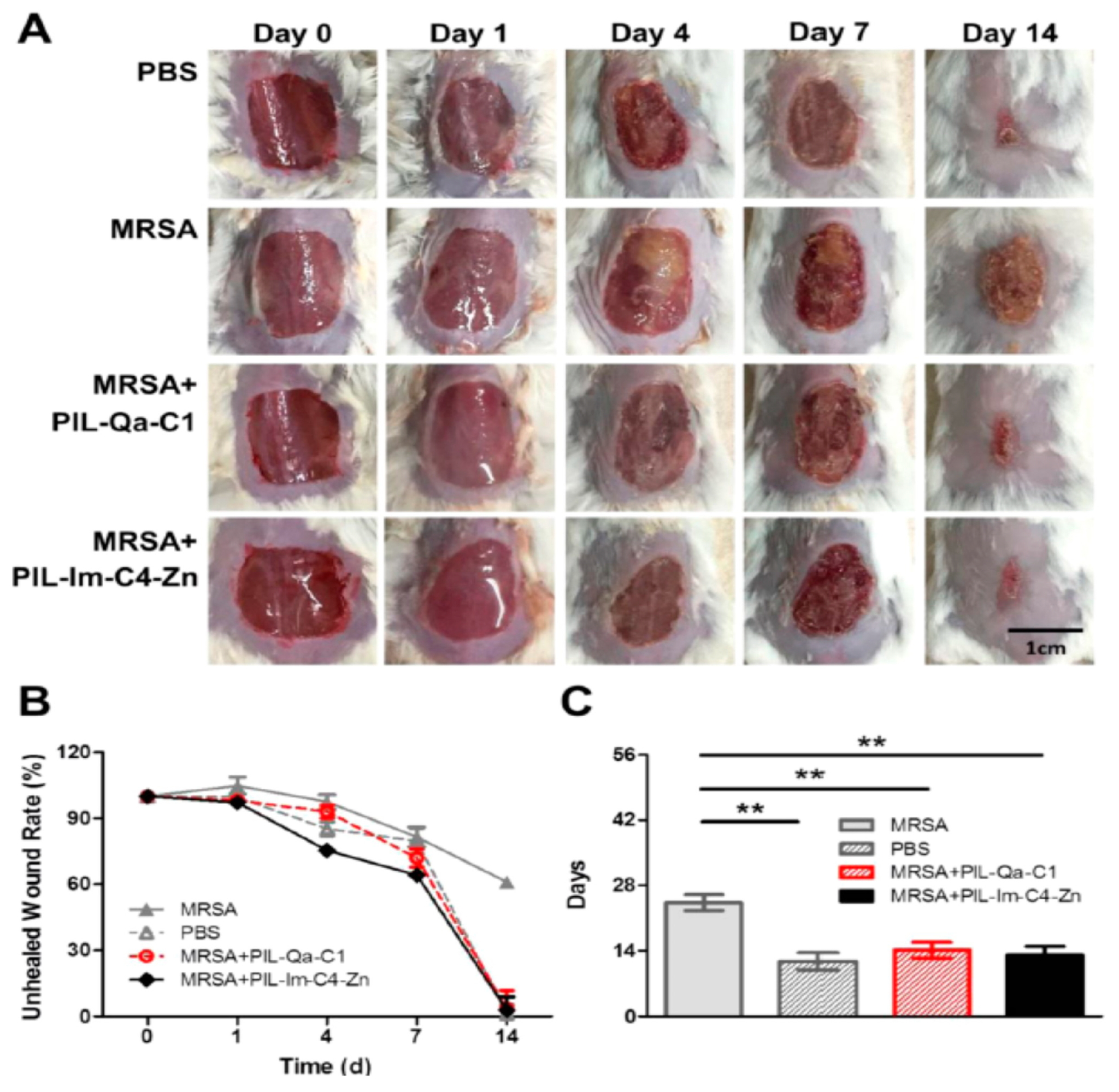 Nanomaterials 11 02401 g017