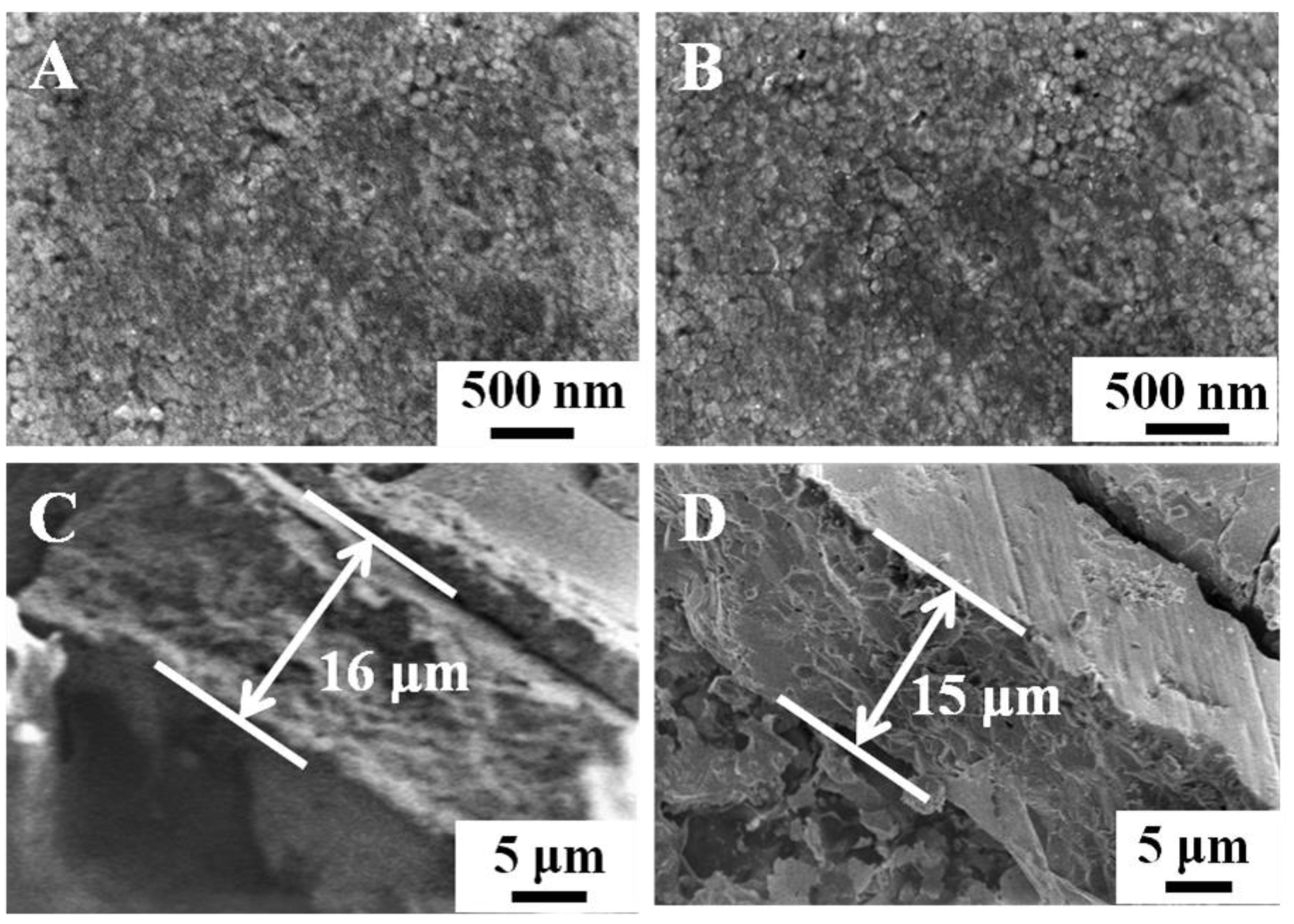 Nanomaterials 11 02404 g001