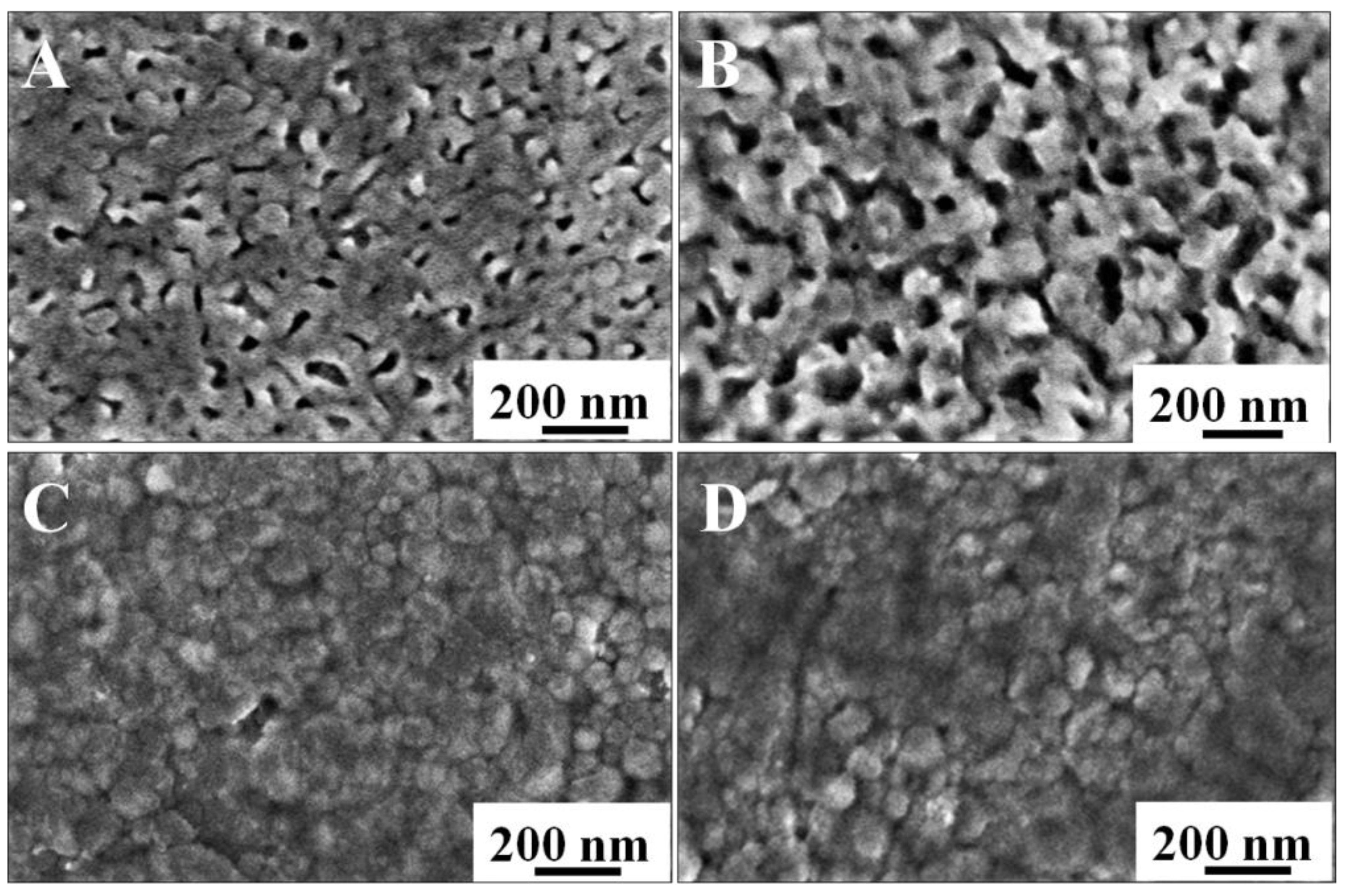 Nanomaterials 11 02404 g005