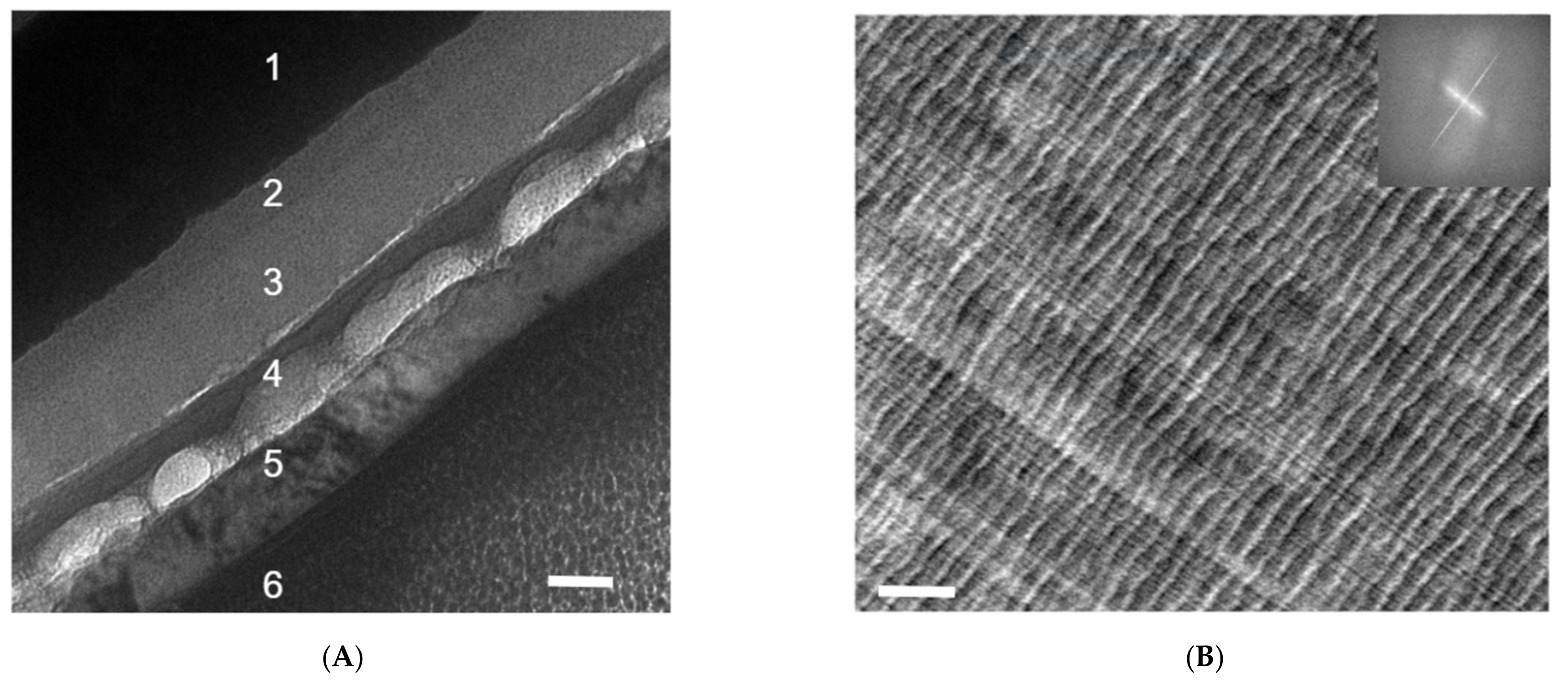 Nanomaterials 11 02405 g002 Nanomaterials 11 02405 g002