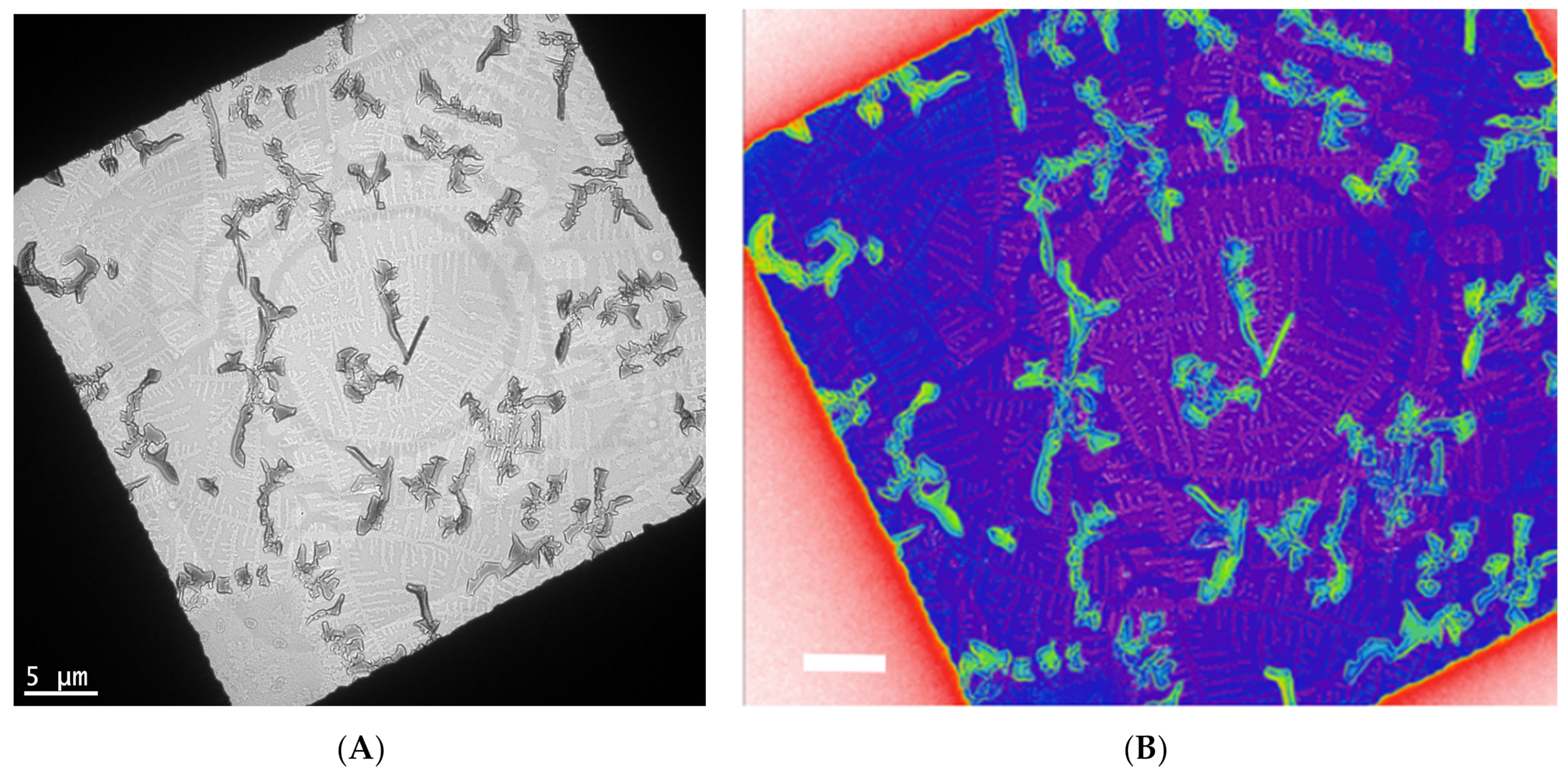 Nanomaterials 11 02405 g003 Nanomaterials 11 02405 g003
