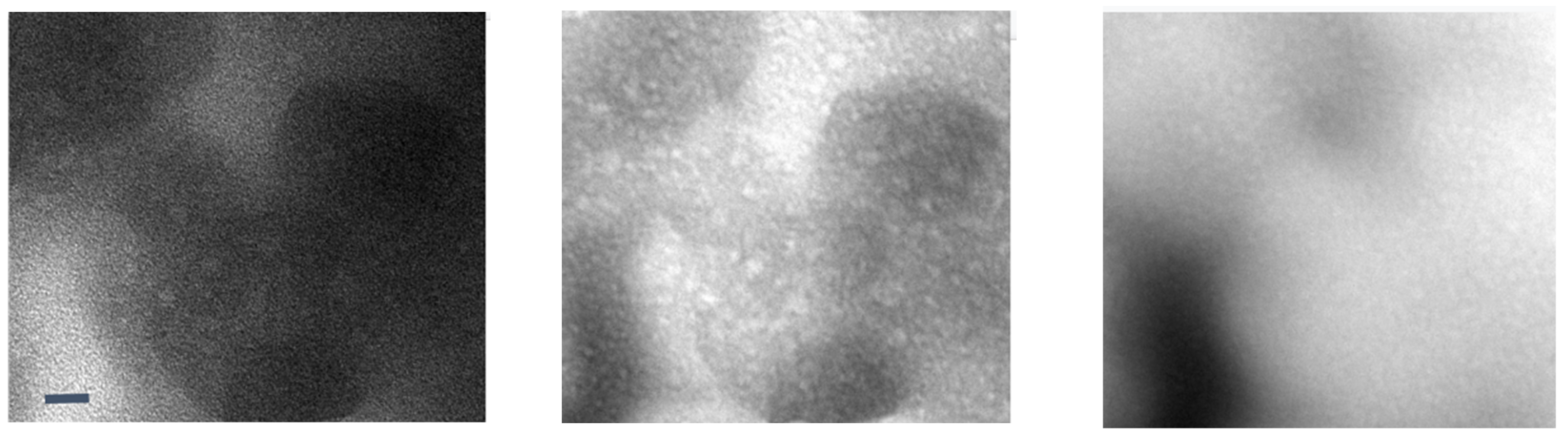 Nanomaterials 11 02405 g006 Nanomaterials 11 02405 g006