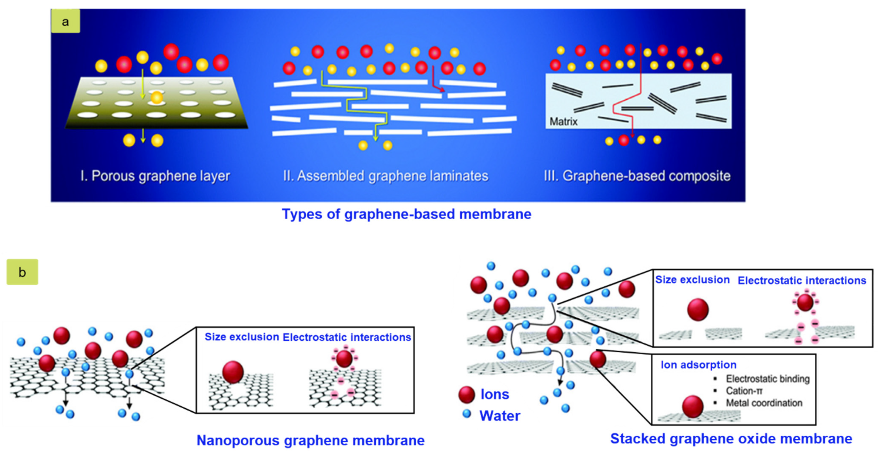 Nanomaterials 11 02414 g014