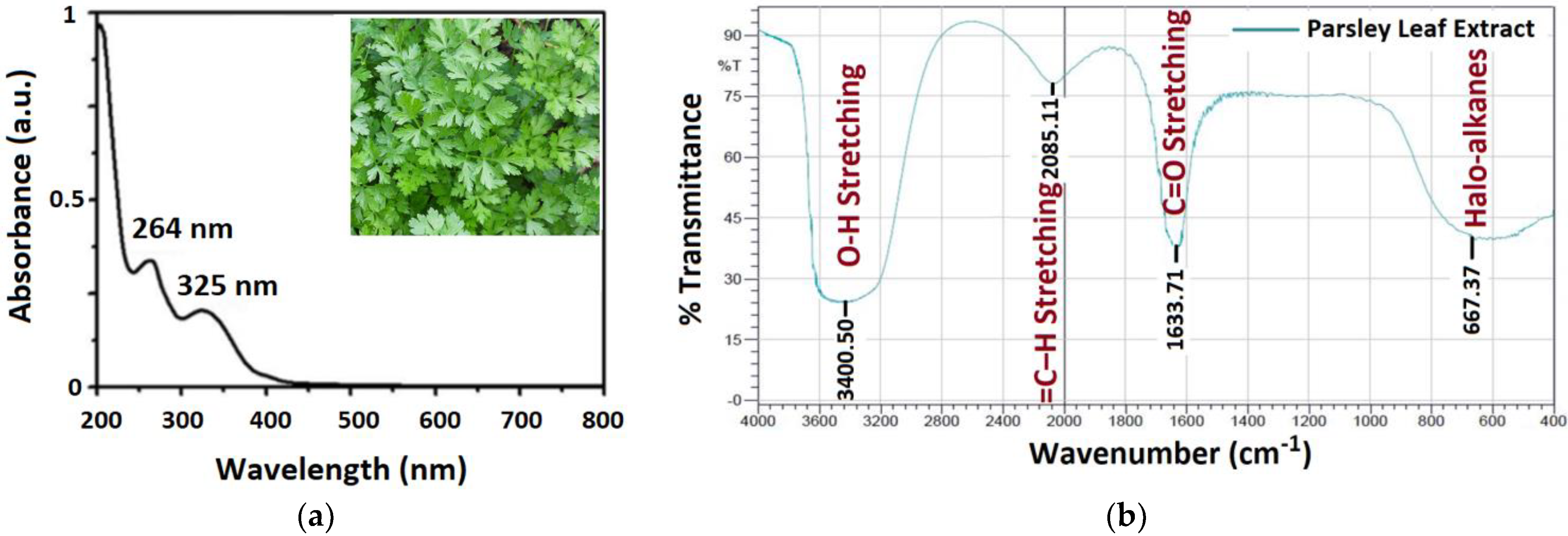 Nanomaterials 11 02421 g004