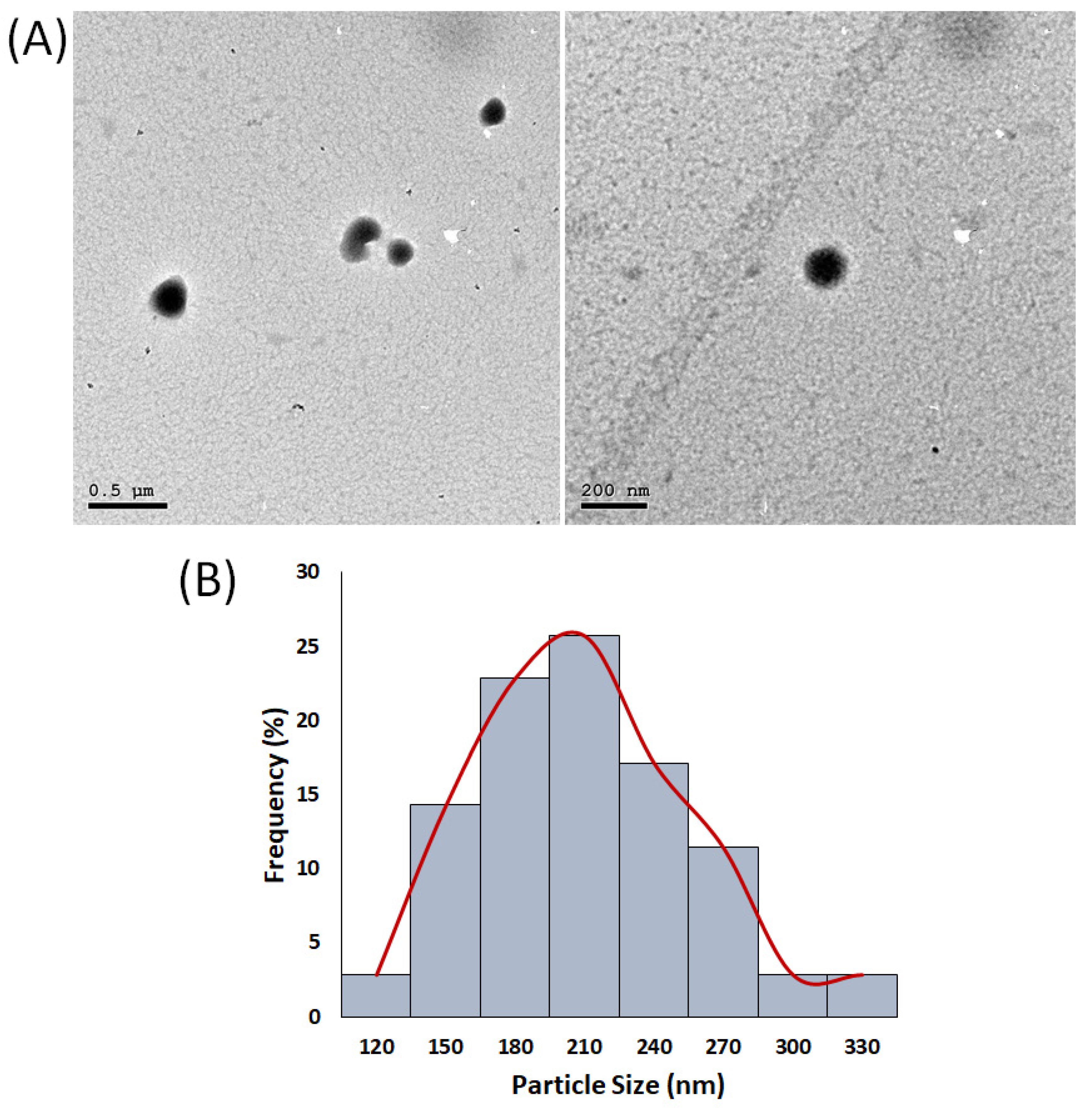 Nanomaterials 11 02438 g002