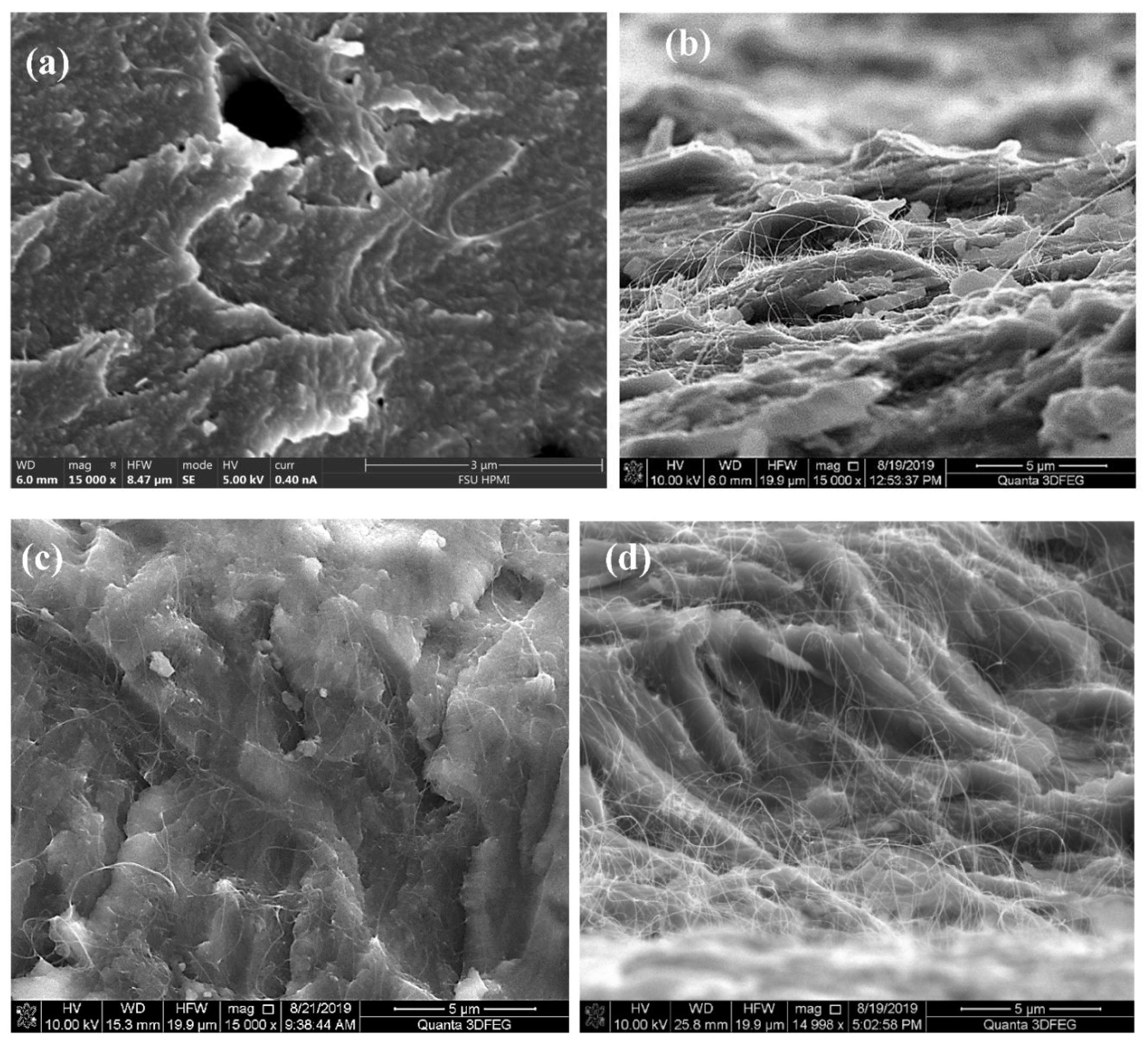 Nanomaterials 11 02445 g003