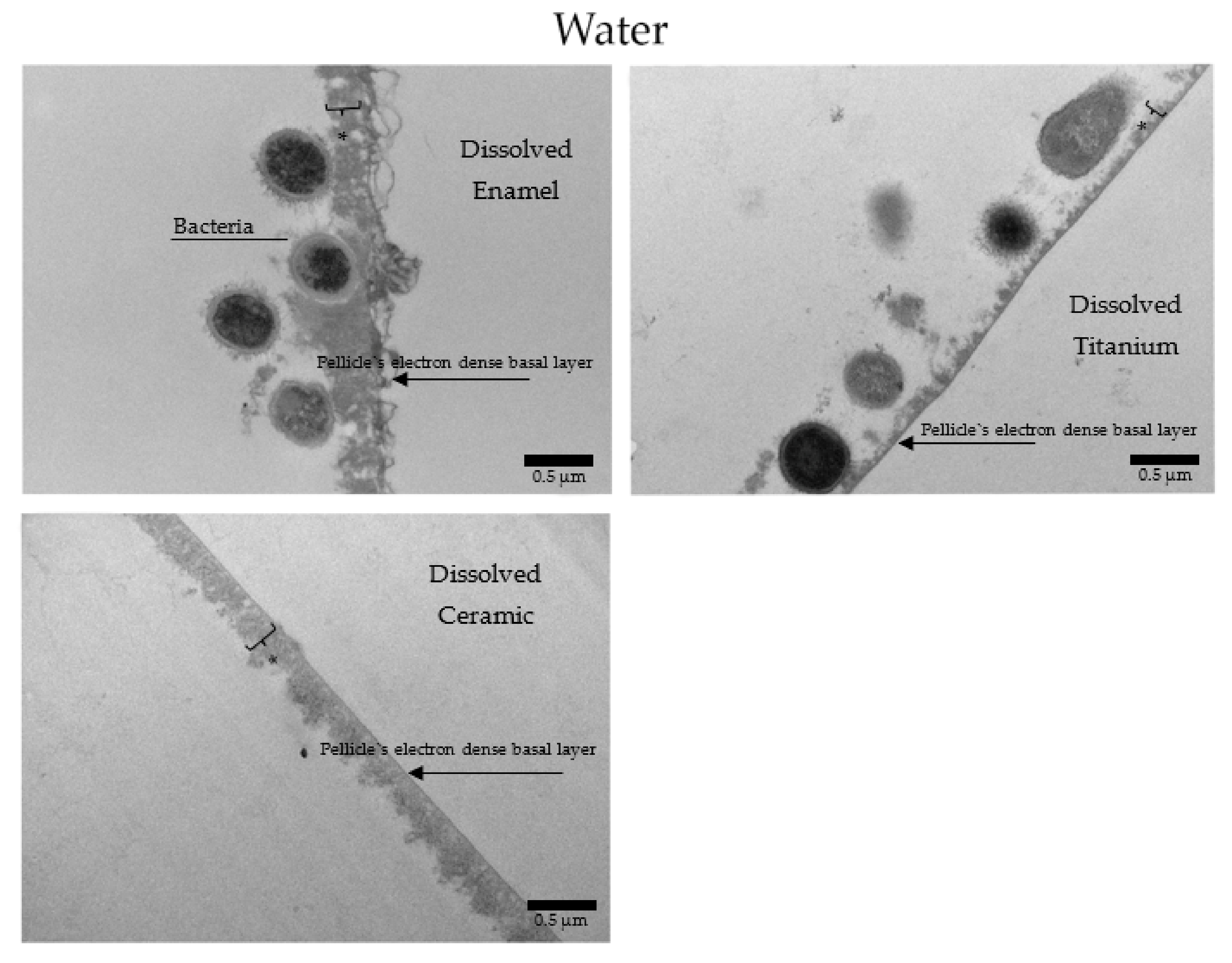 Nanomaterials 11 02452 g014