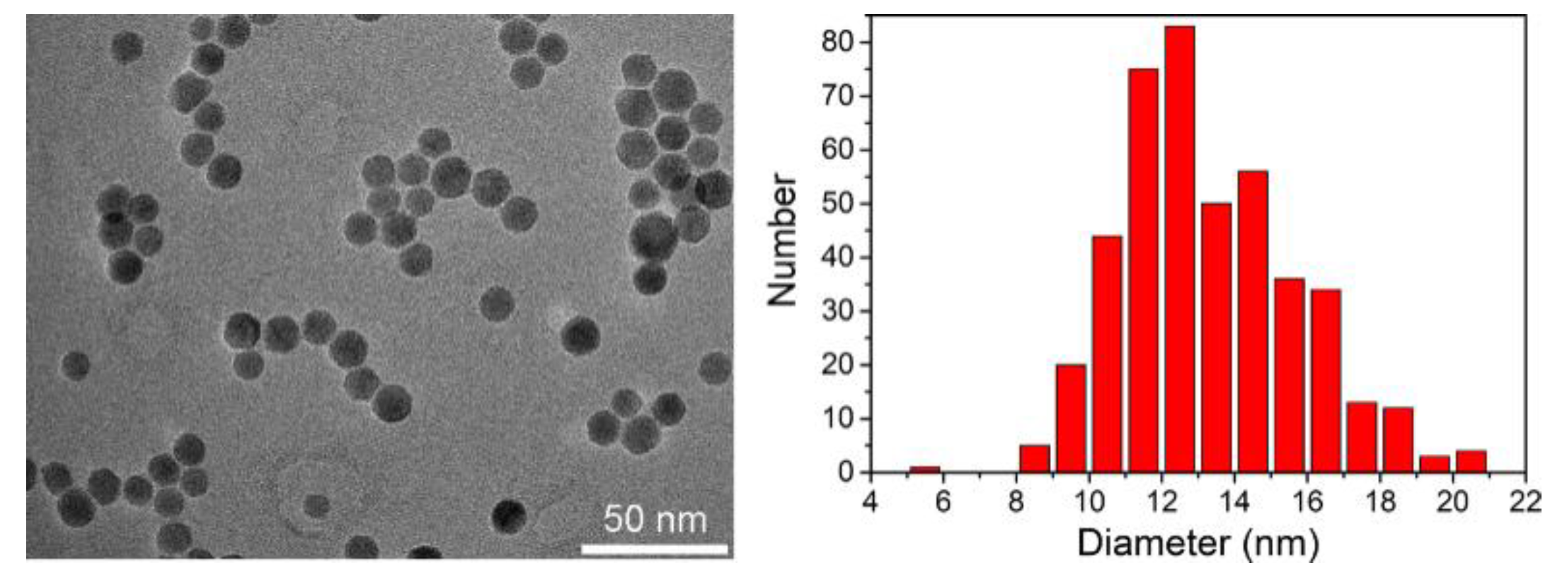 Nanomaterials 11 02453 g004
