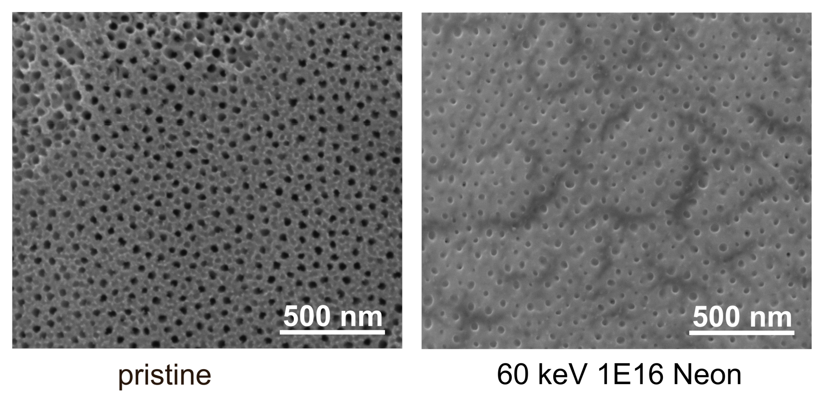 Nanomaterials 11 02458 g003