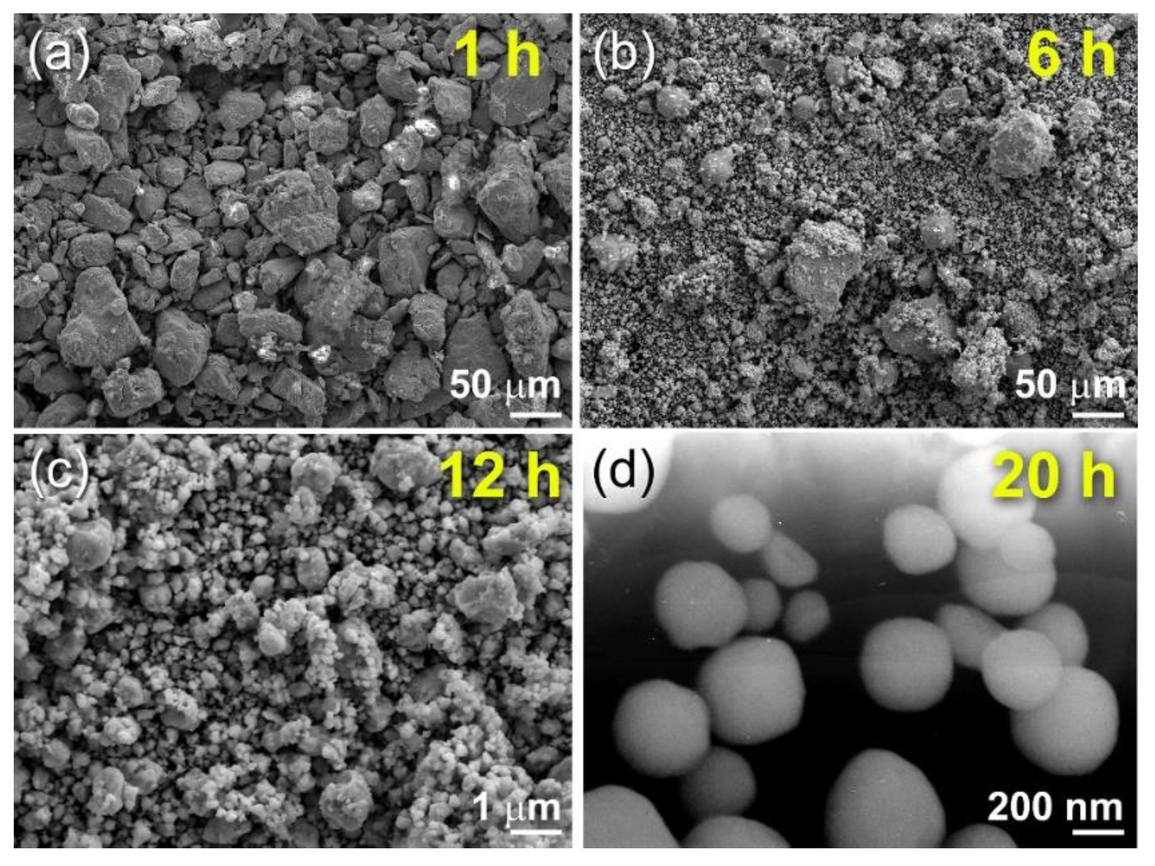 Nanomaterials 11 02484 g031