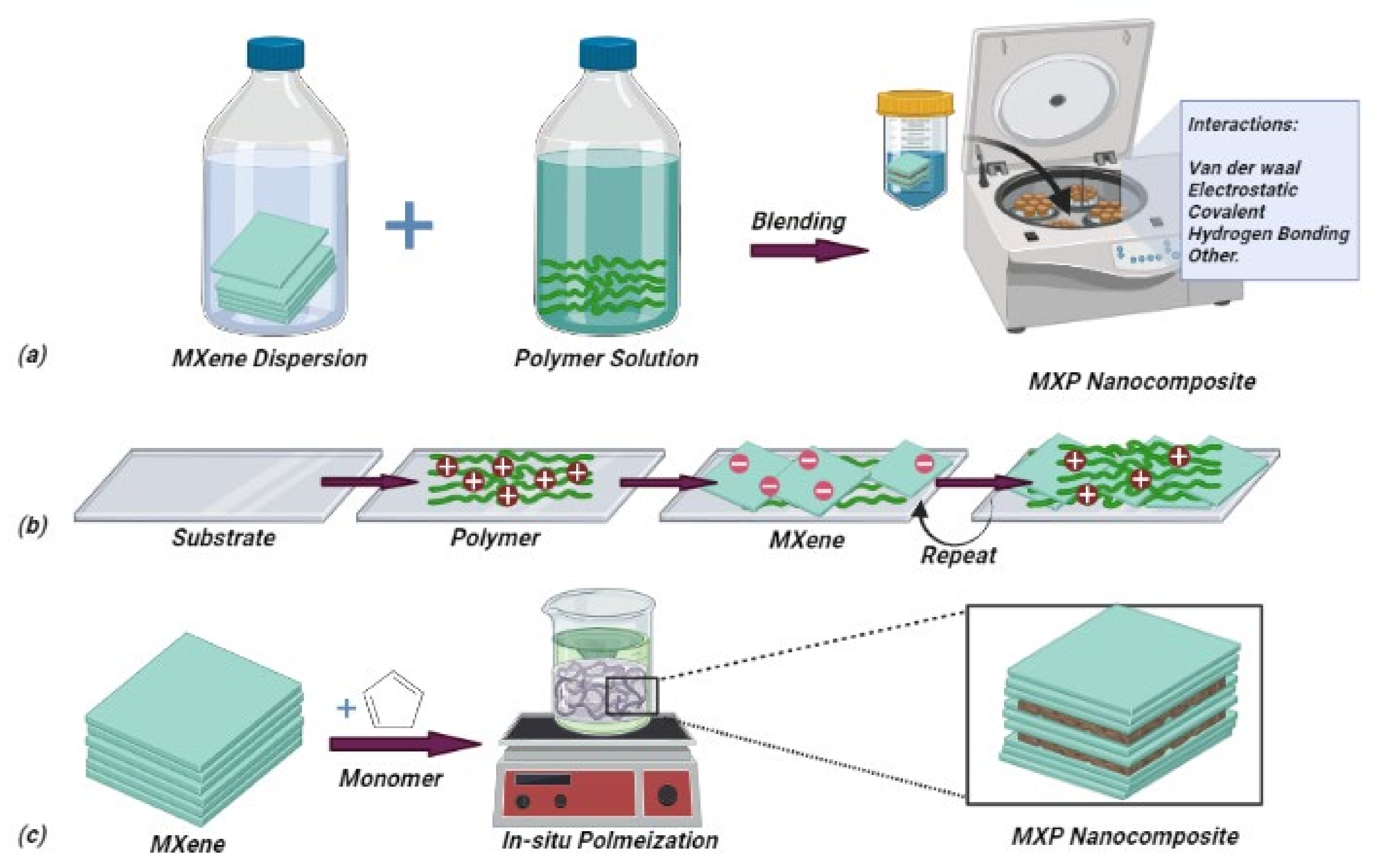 Nanomaterials 11 02496 g006