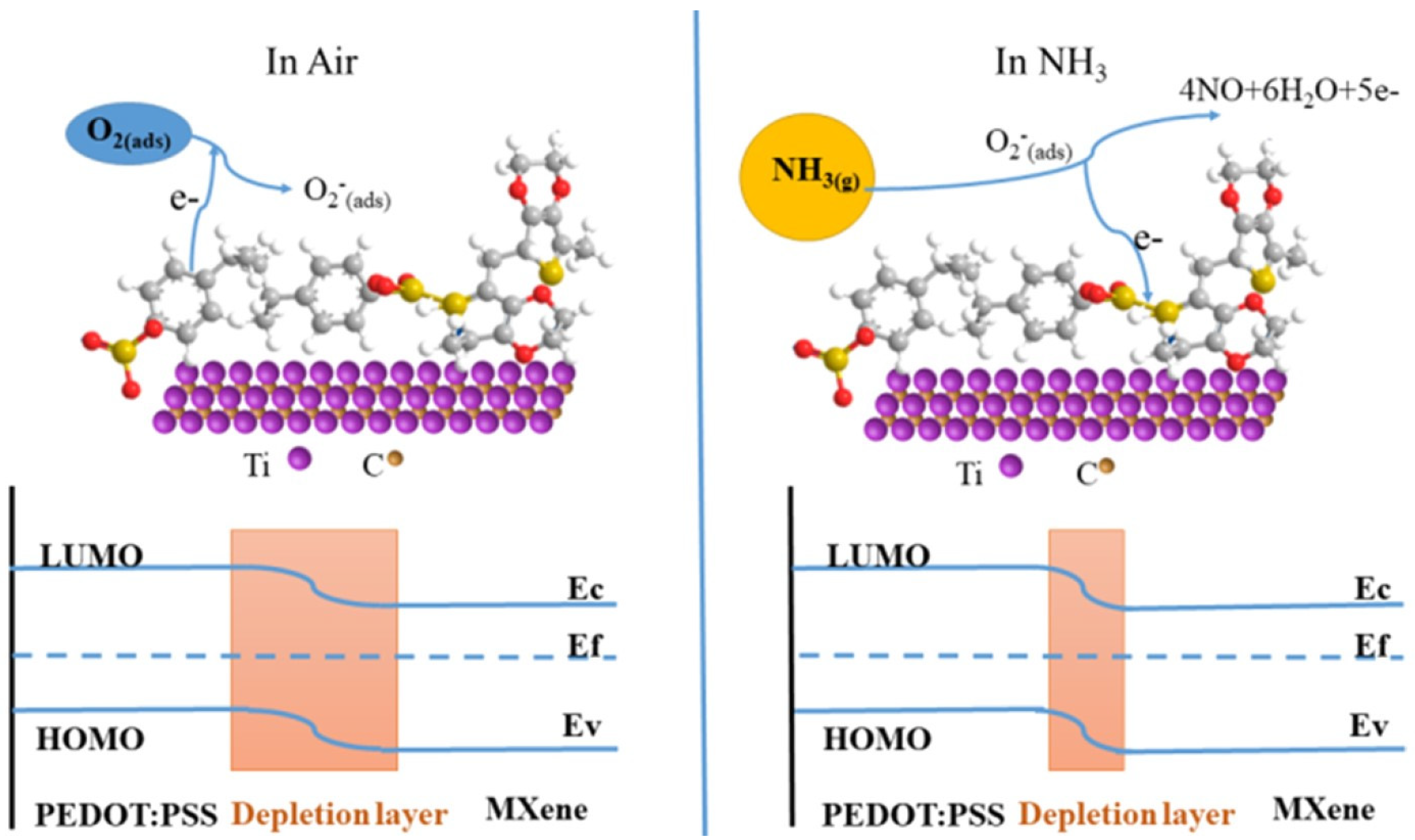 Nanomaterials 11 02496 g012