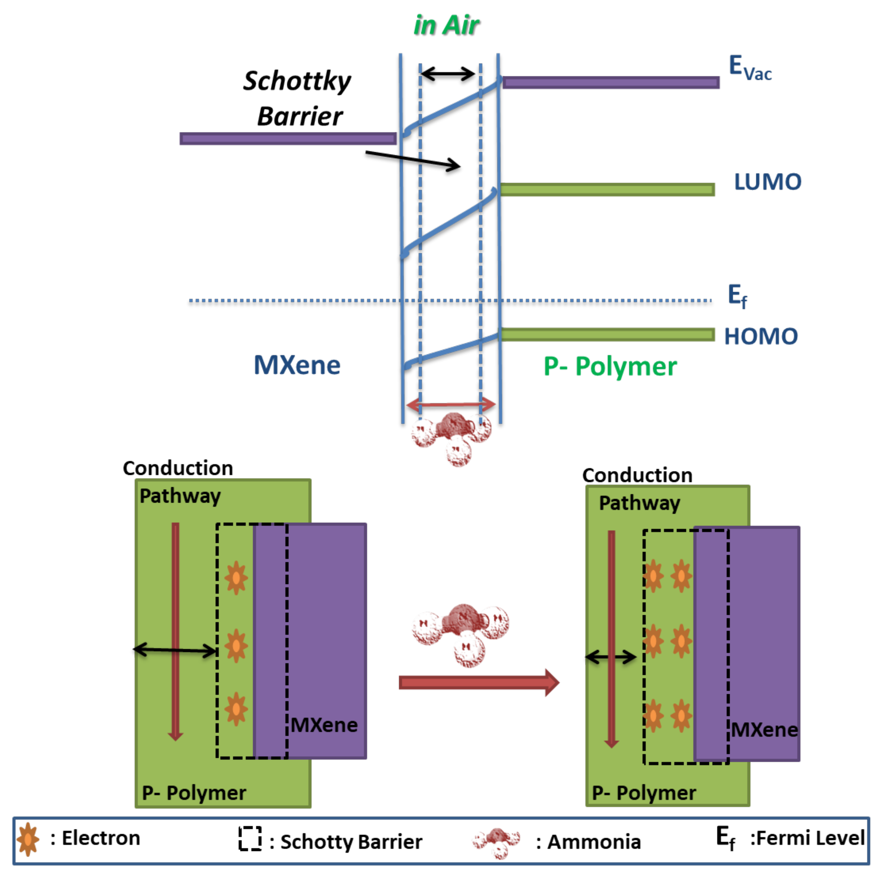 Nanomaterials 11 02496 g013