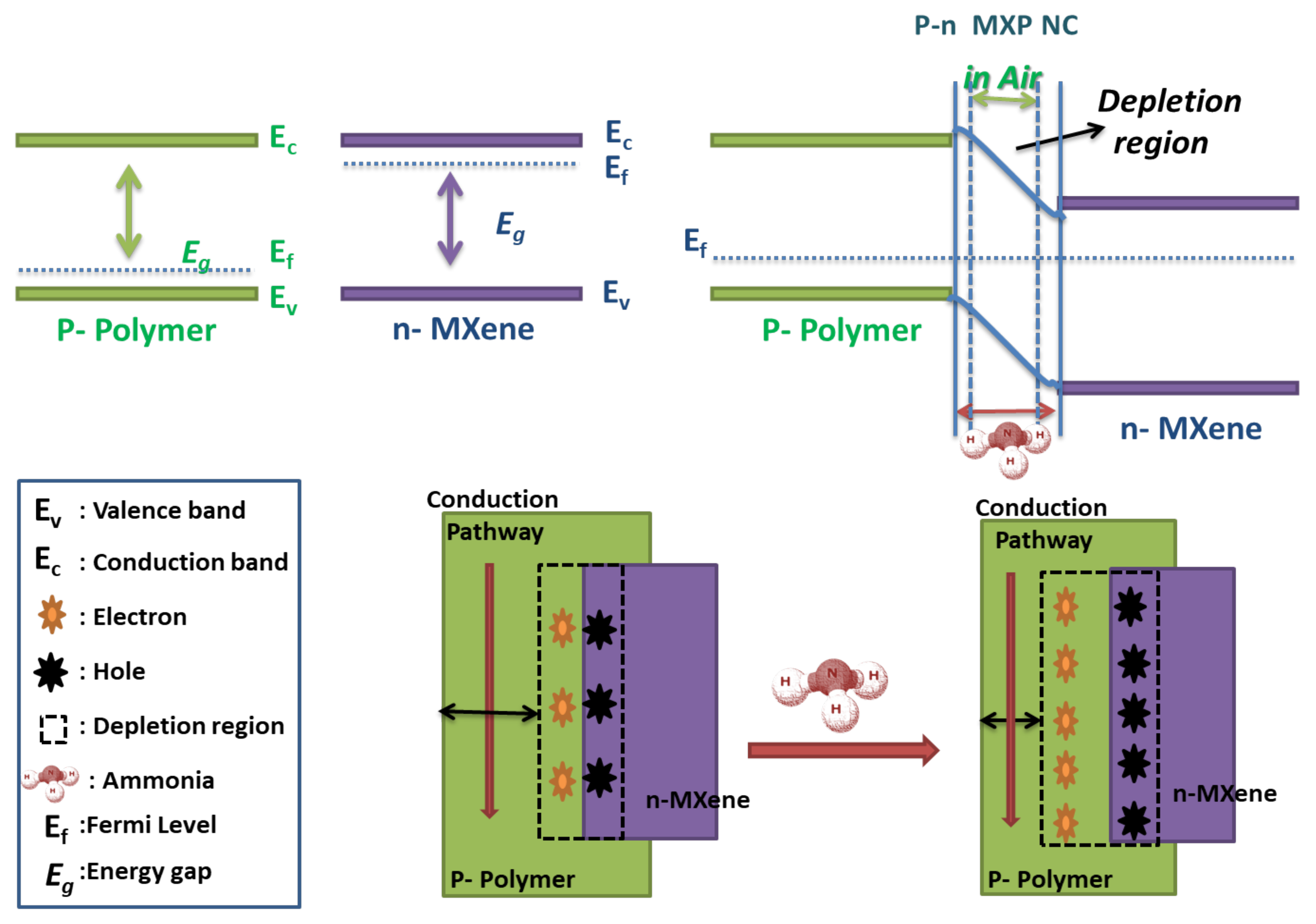 Nanomaterials 11 02496 g014