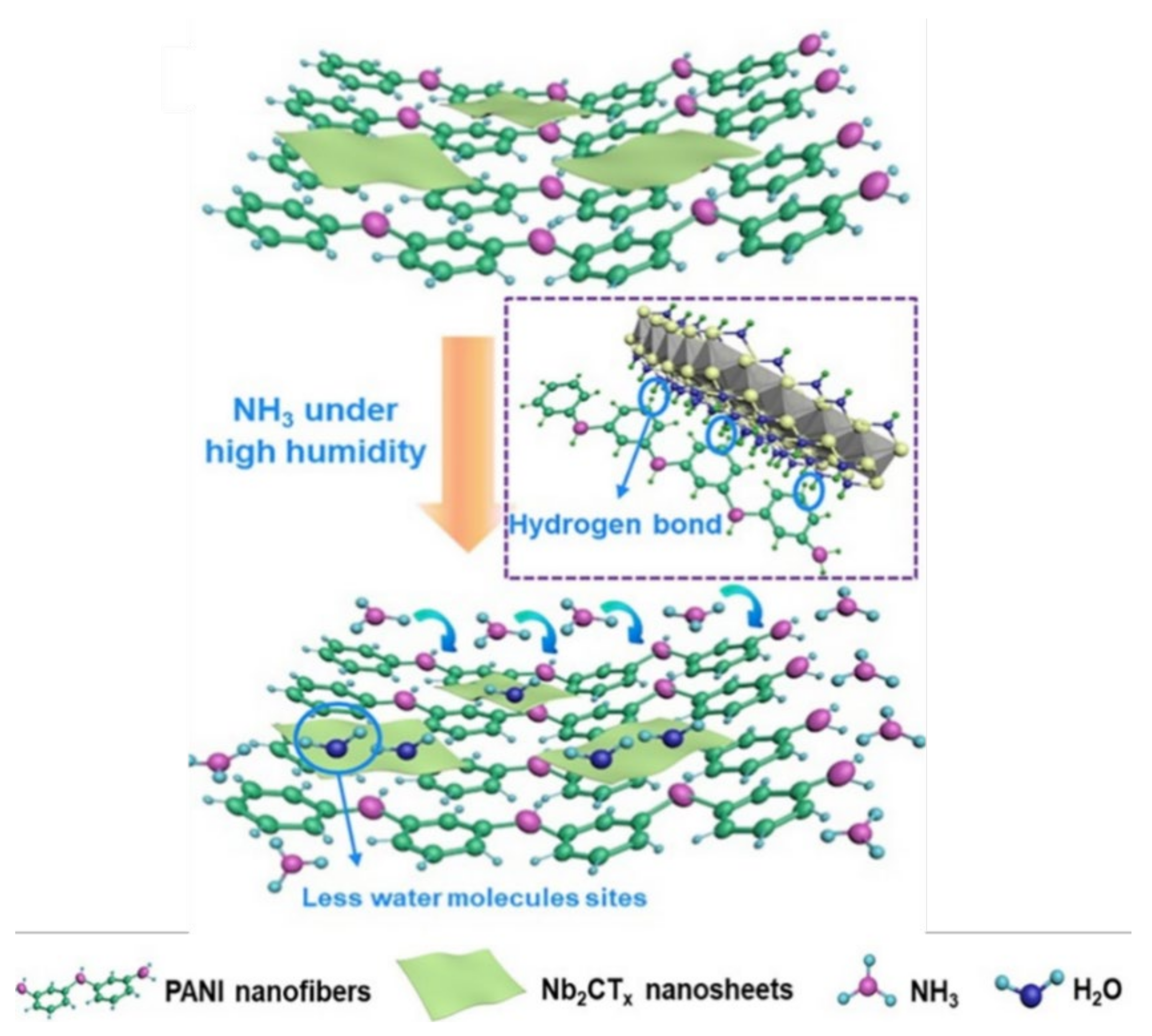 Nanomaterials 11 02496 g016