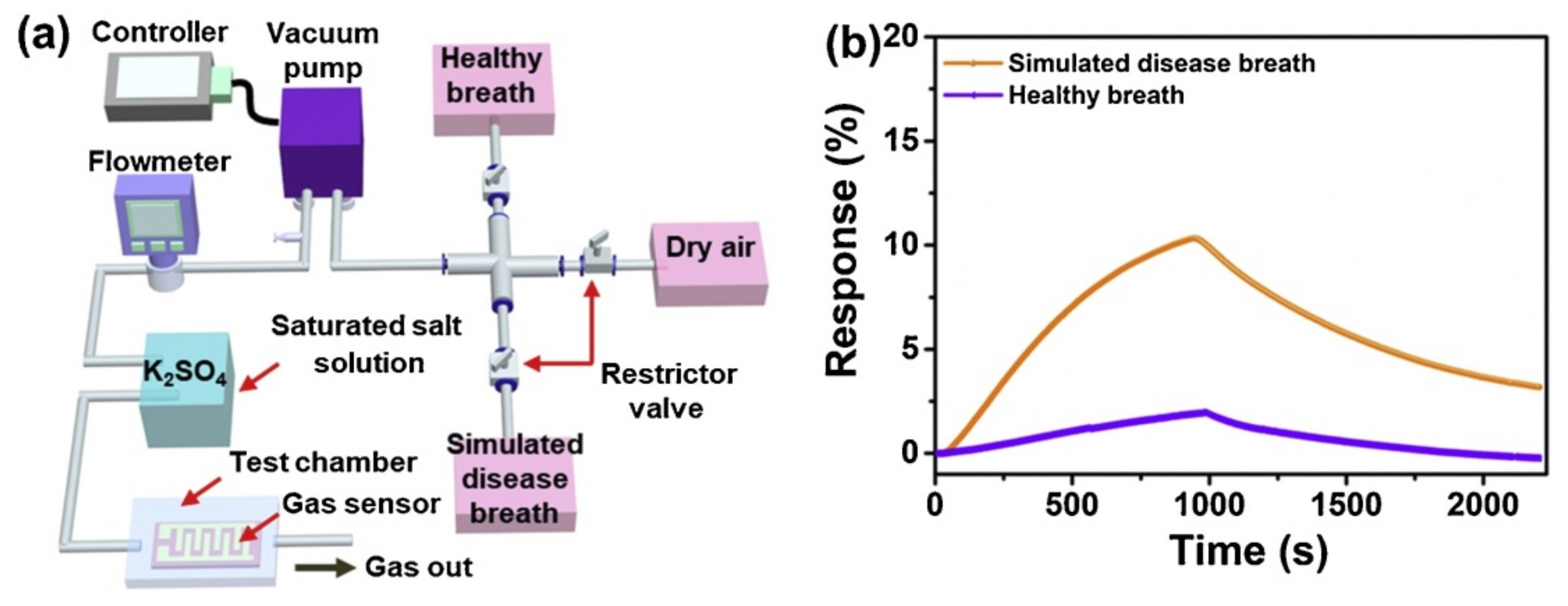Nanomaterials 11 02496 g017
