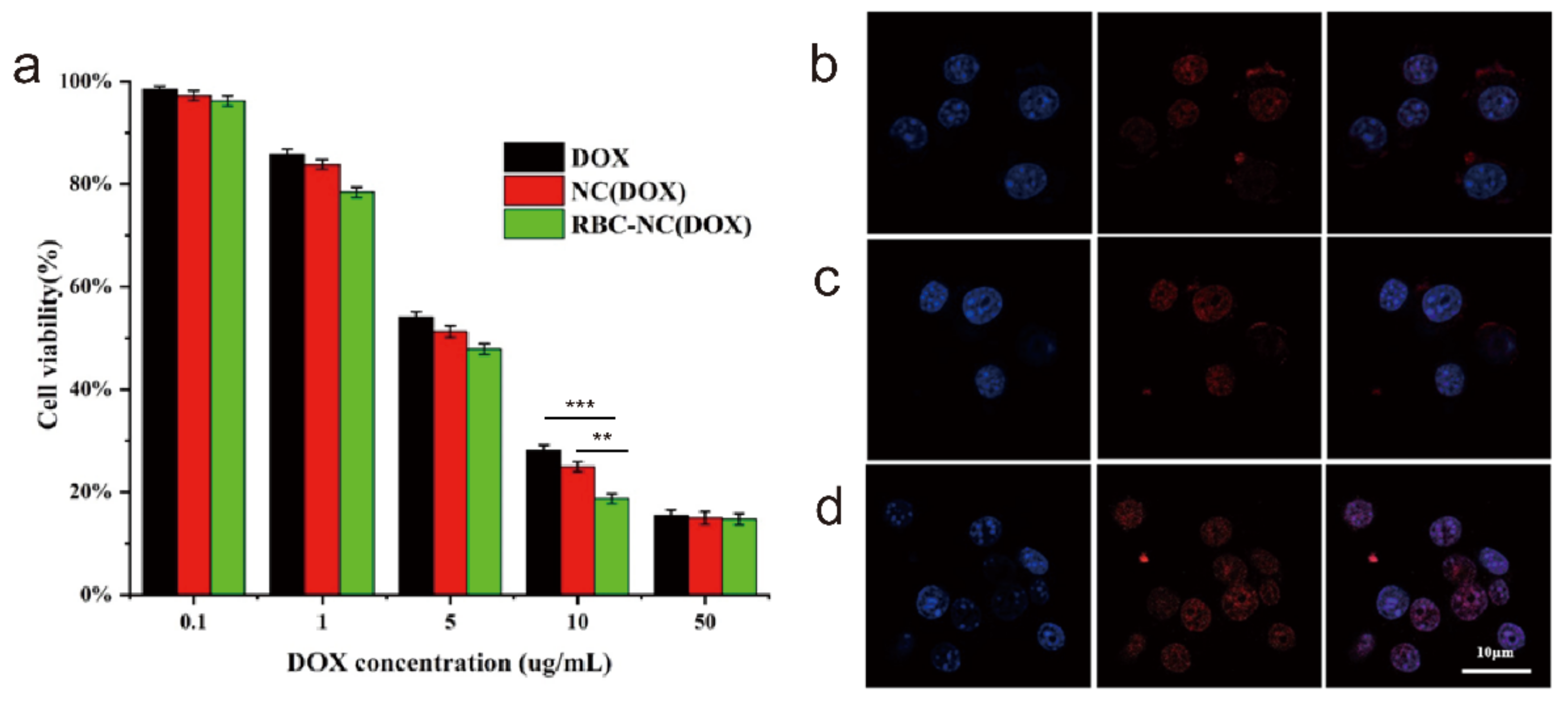 Nanomaterials 11 02513 g004