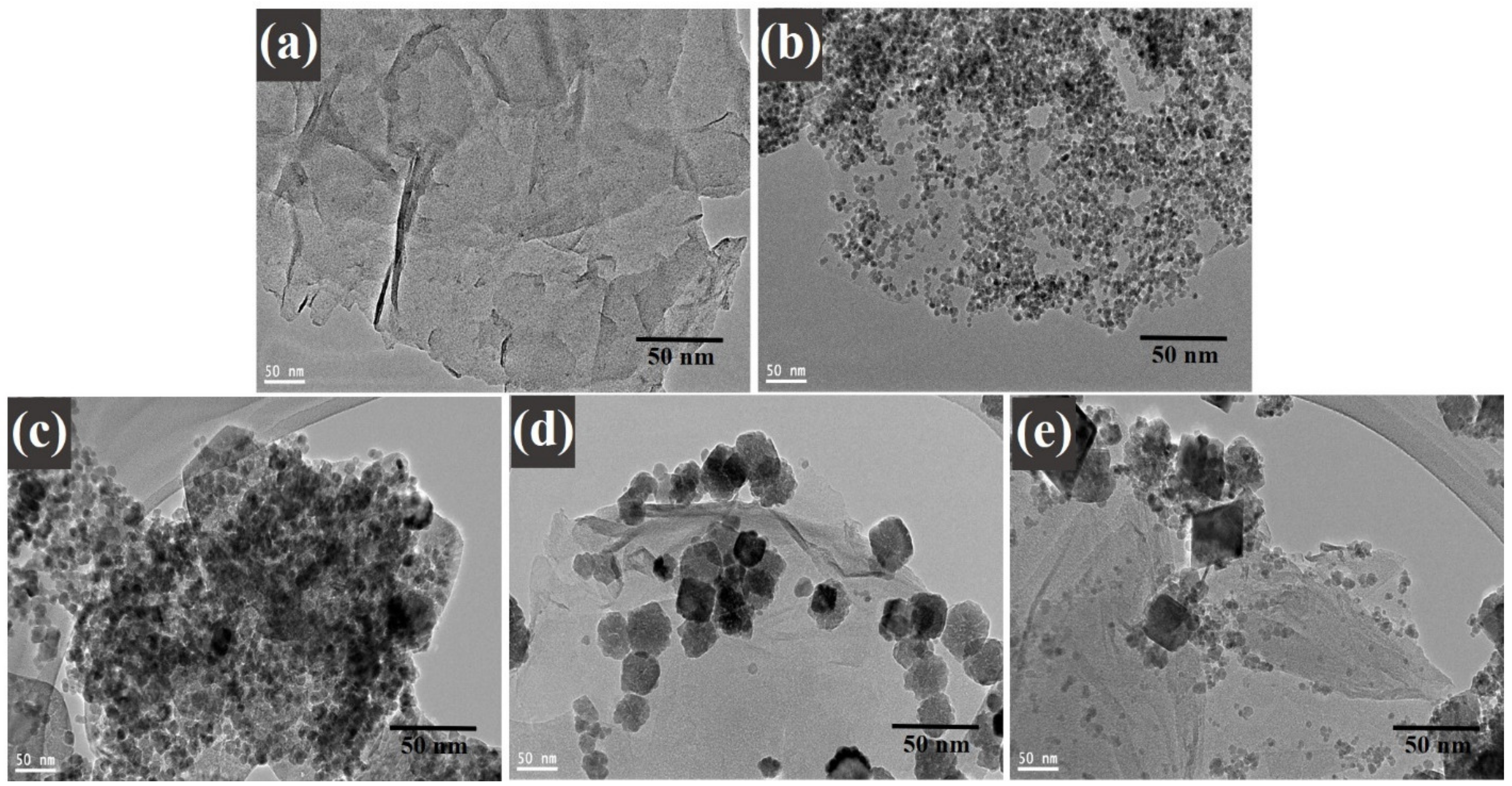 Nanomaterials 11 02523 g005