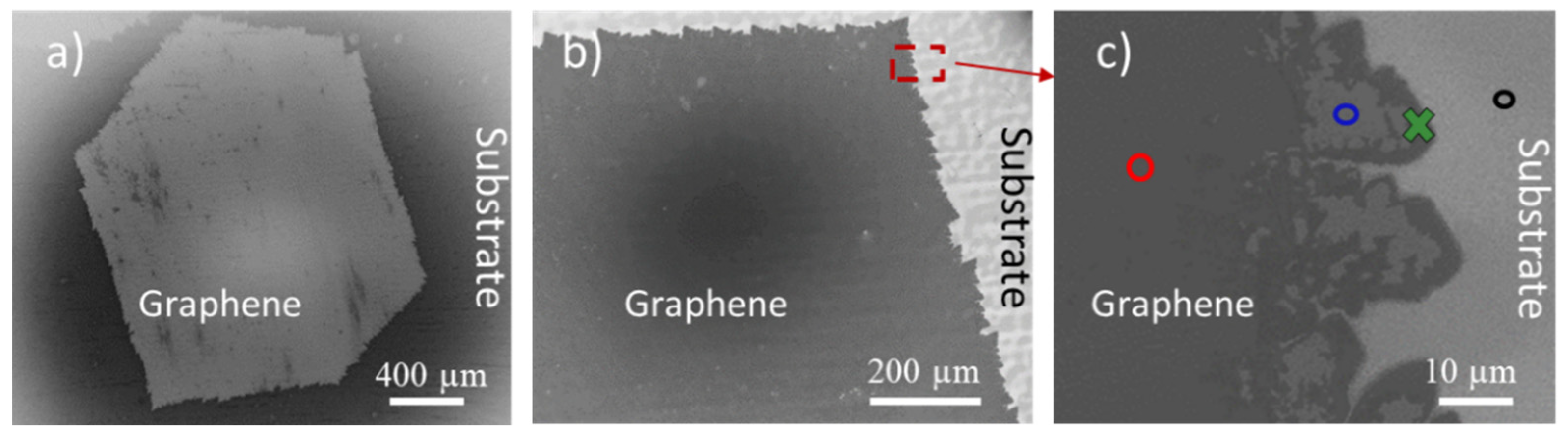 Nanomaterials 11 02528 g001