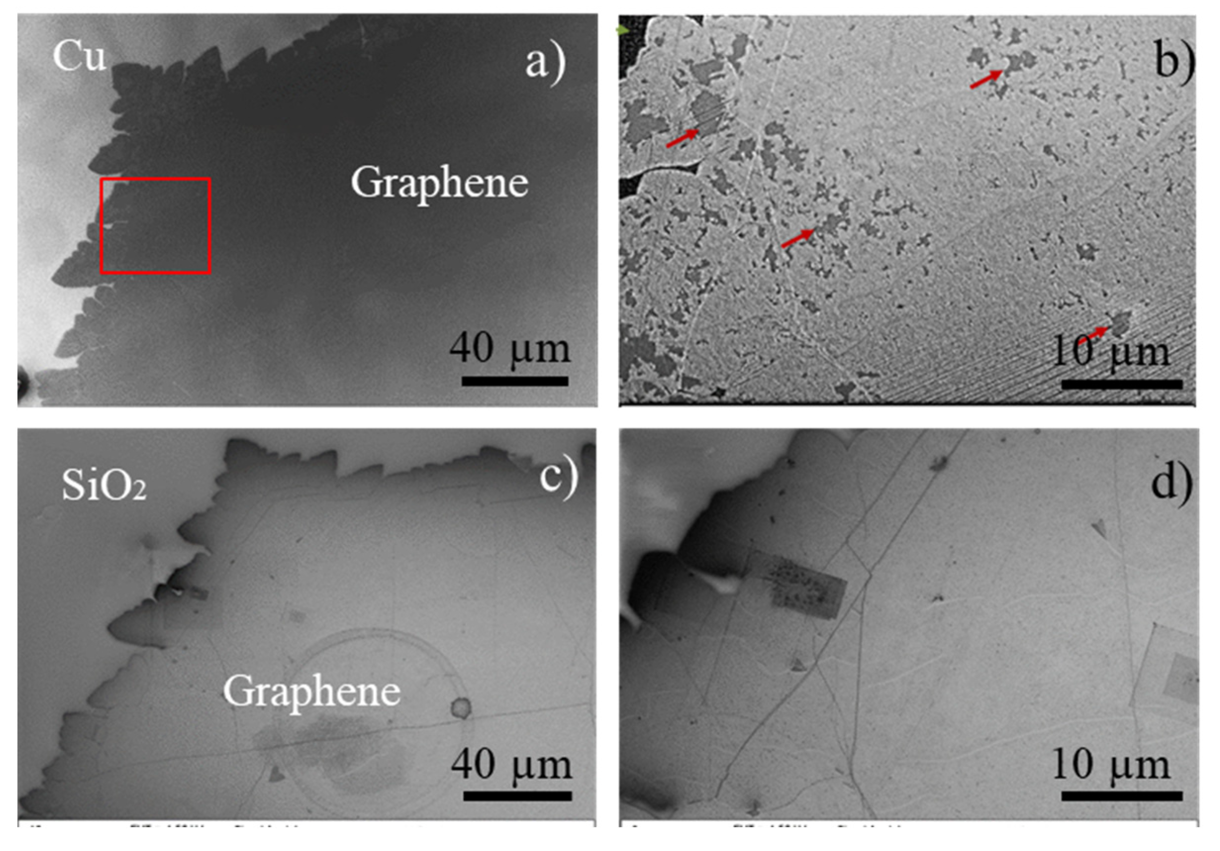 Nanomaterials 11 02528 g004