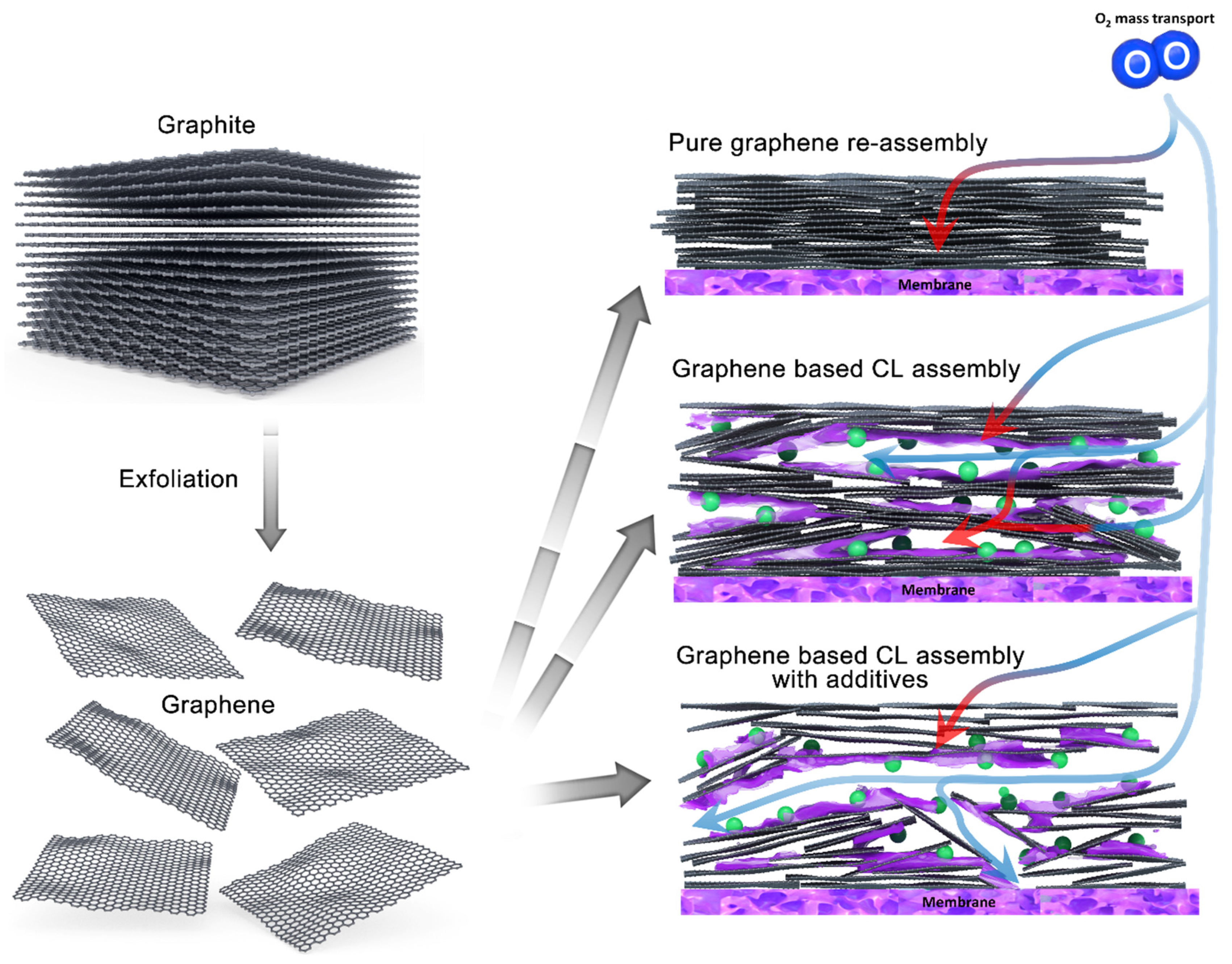 Nanomaterials 11 02530 g001