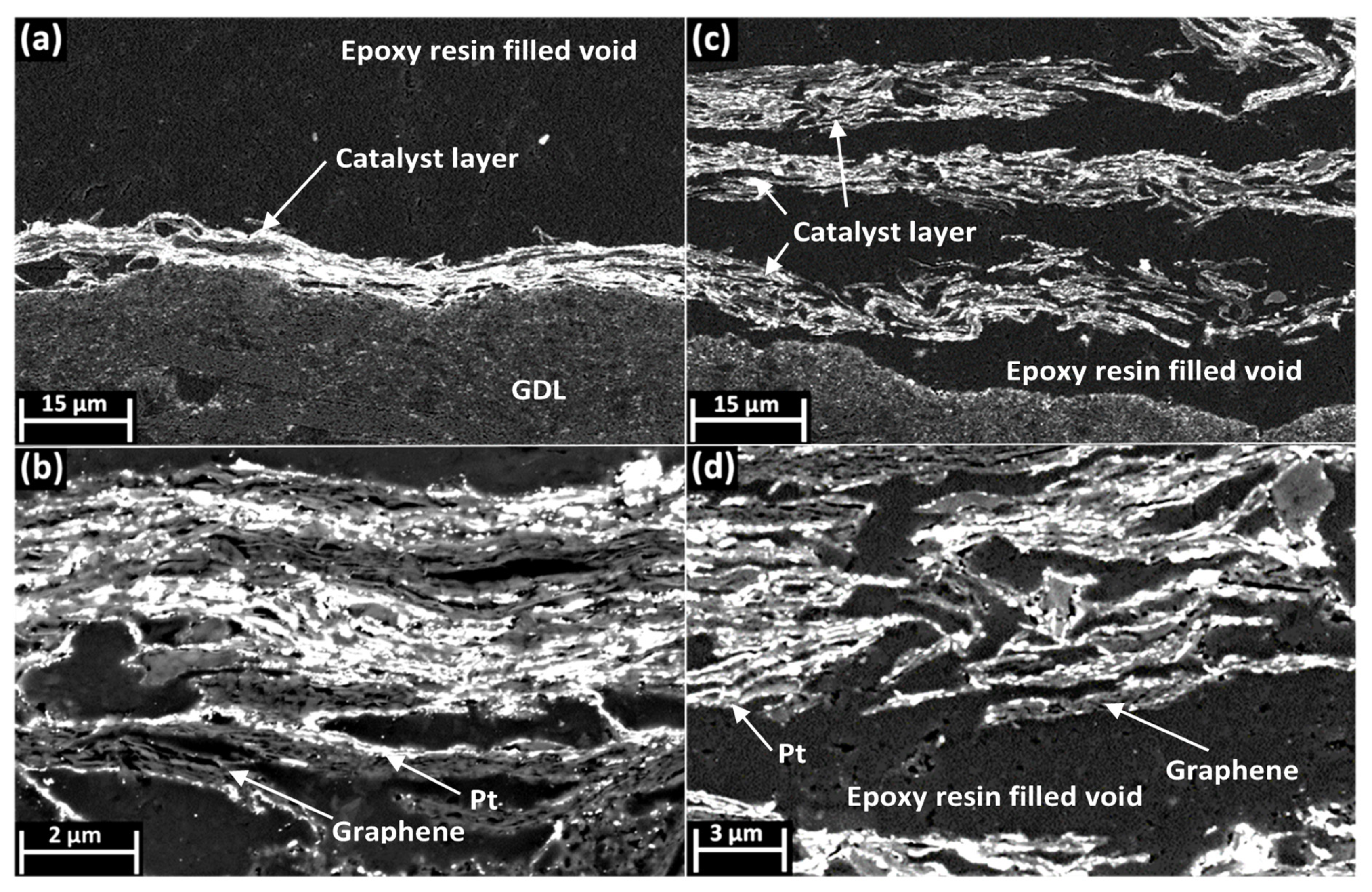 Nanomaterials 11 02530 g002