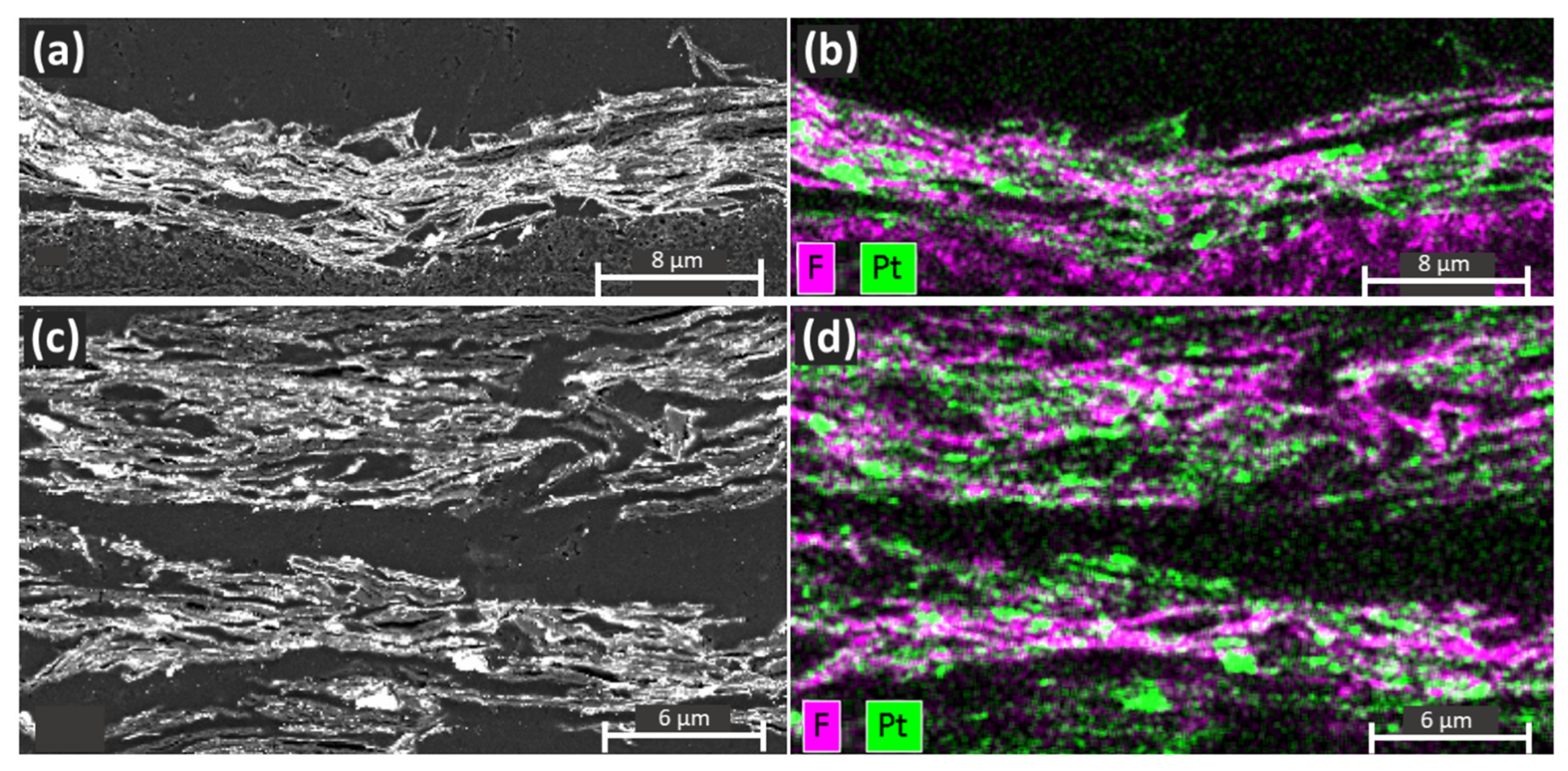 Nanomaterials 11 02530 g003