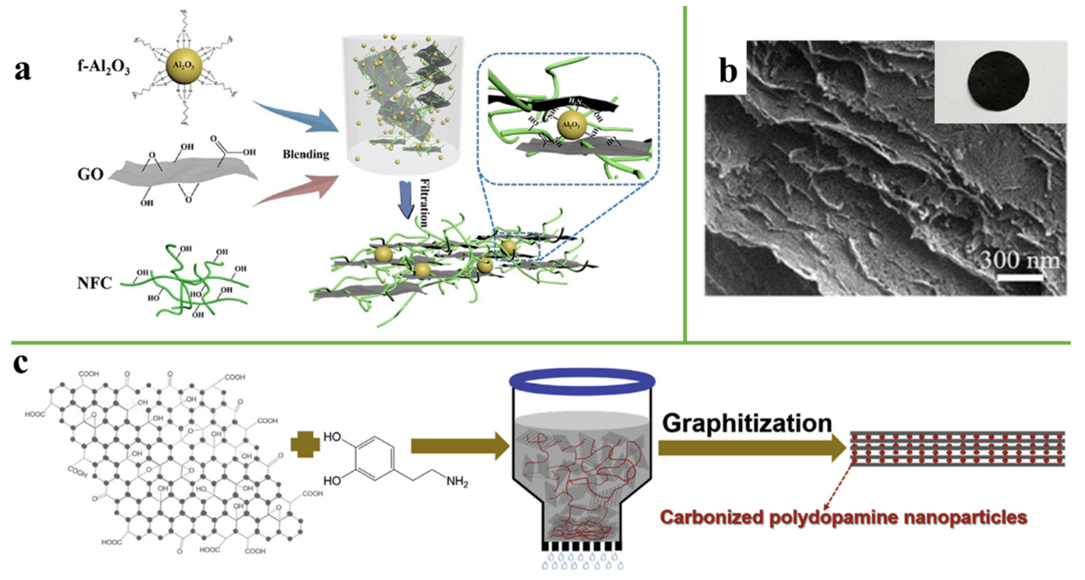 Nanomaterials 11 02539 g001