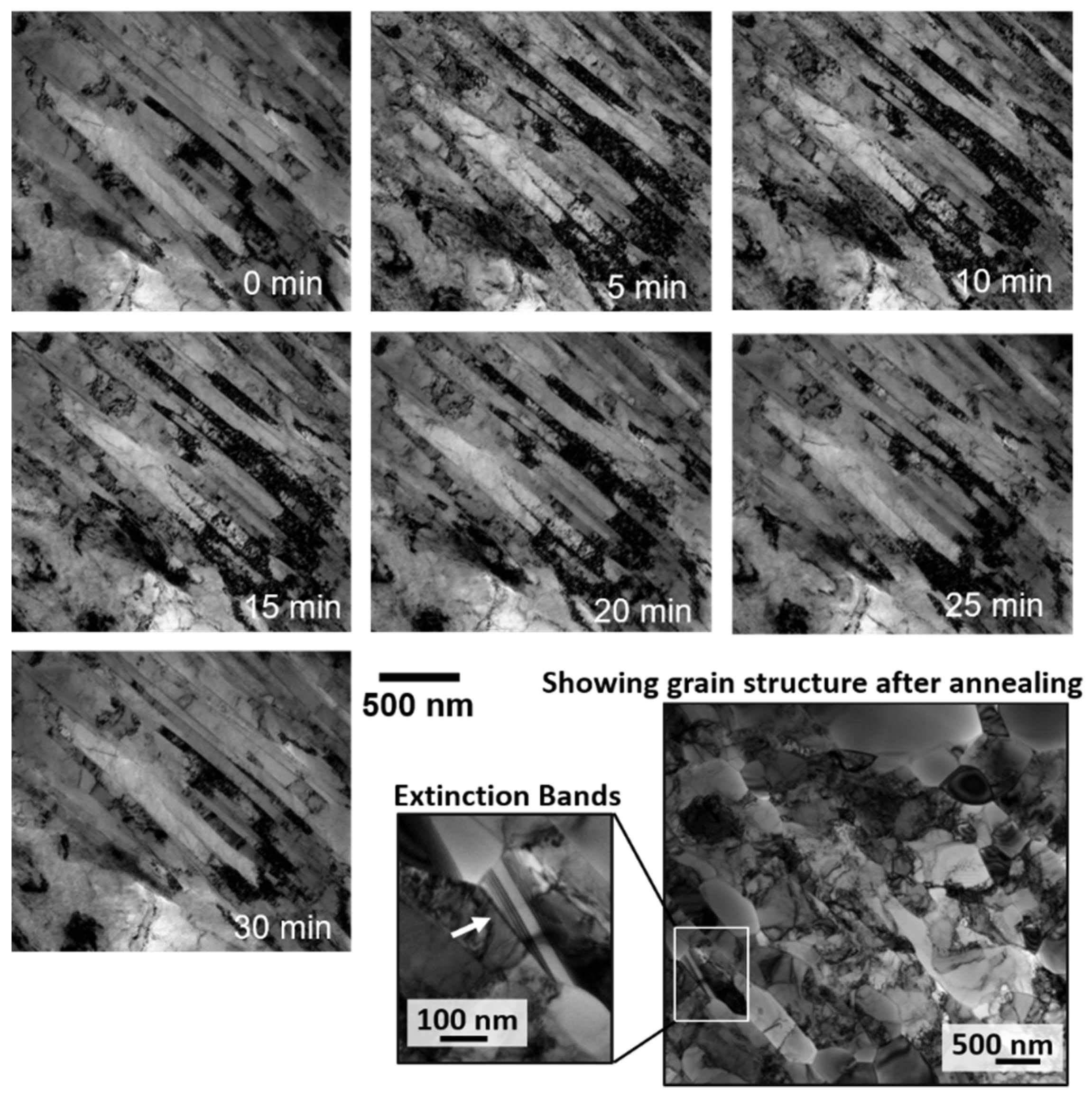 Nanomaterials 11 02541 g001