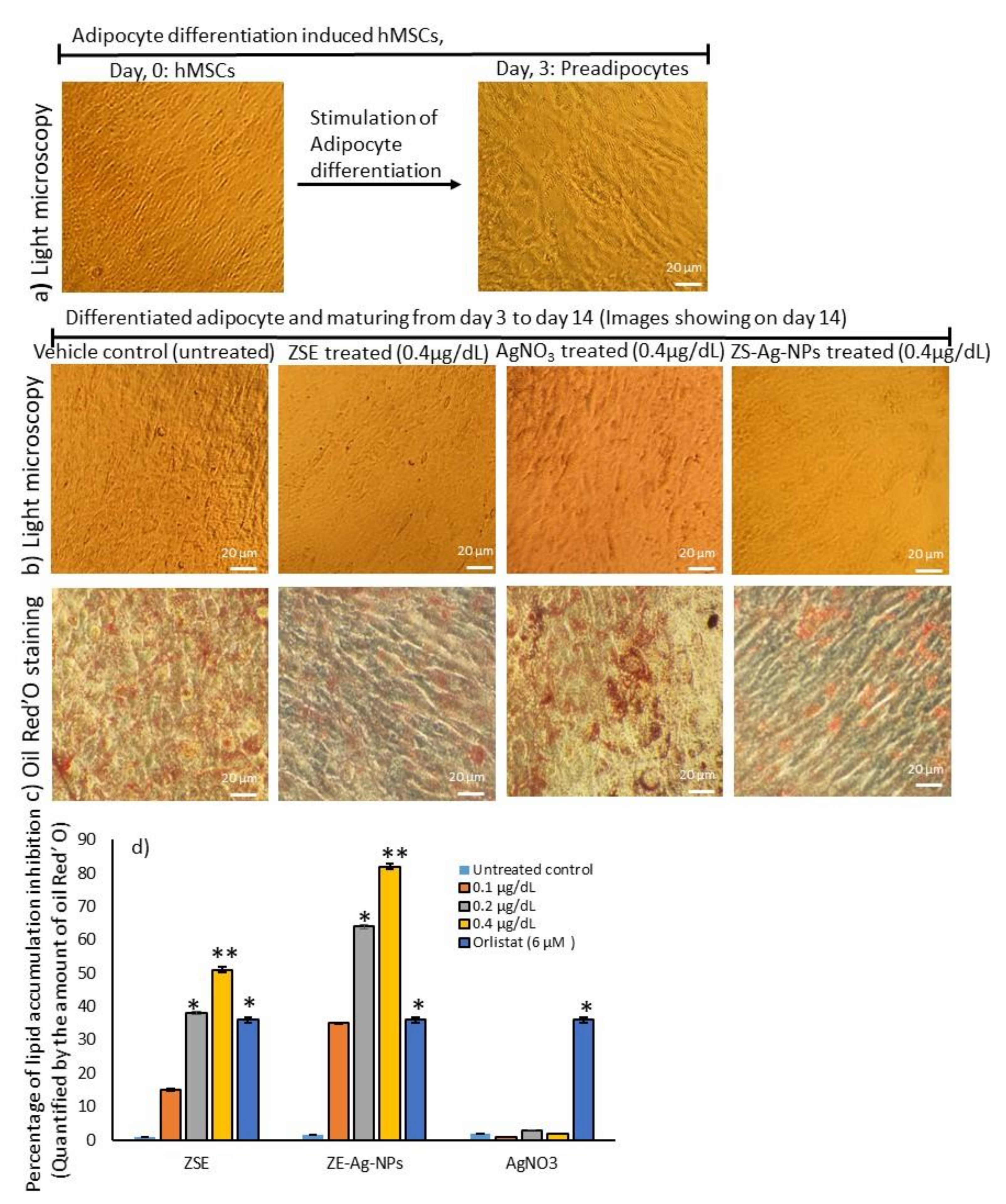 Nanomaterials 11 02563 g003