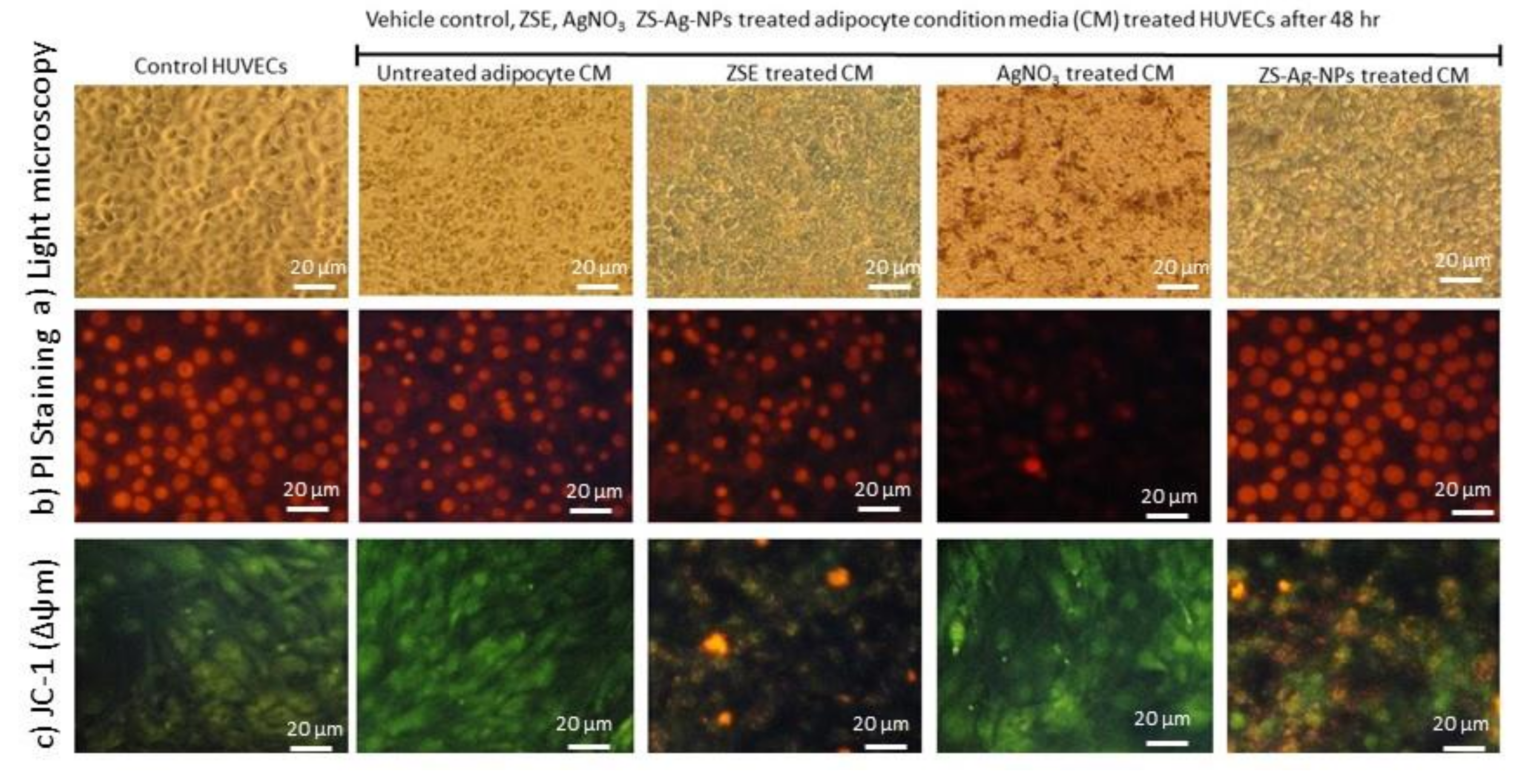Nanomaterials 11 02563 g007