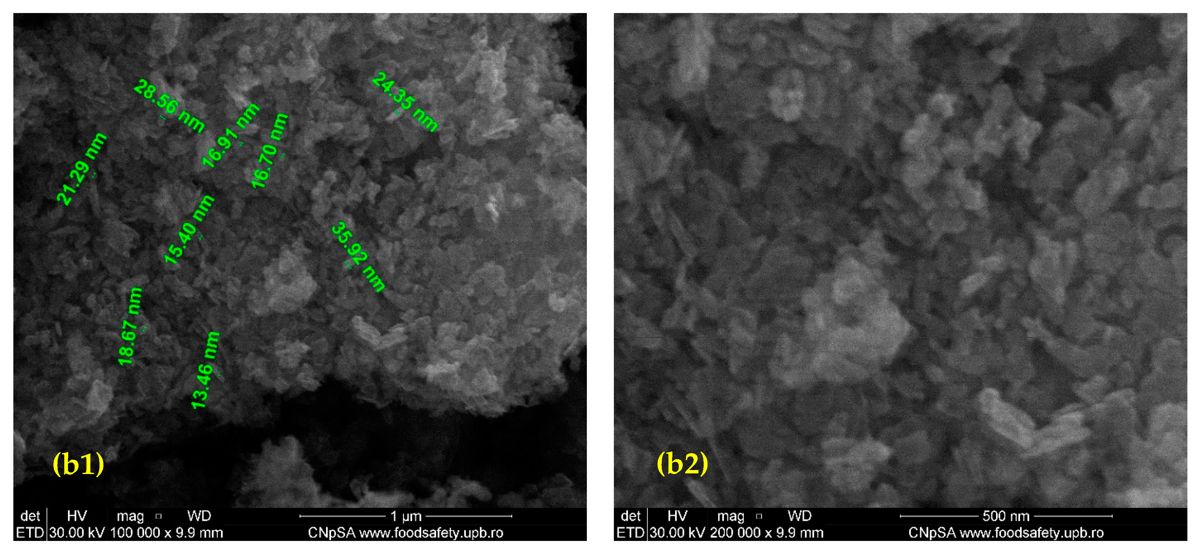 Nanomaterials 11 02564 g002b
