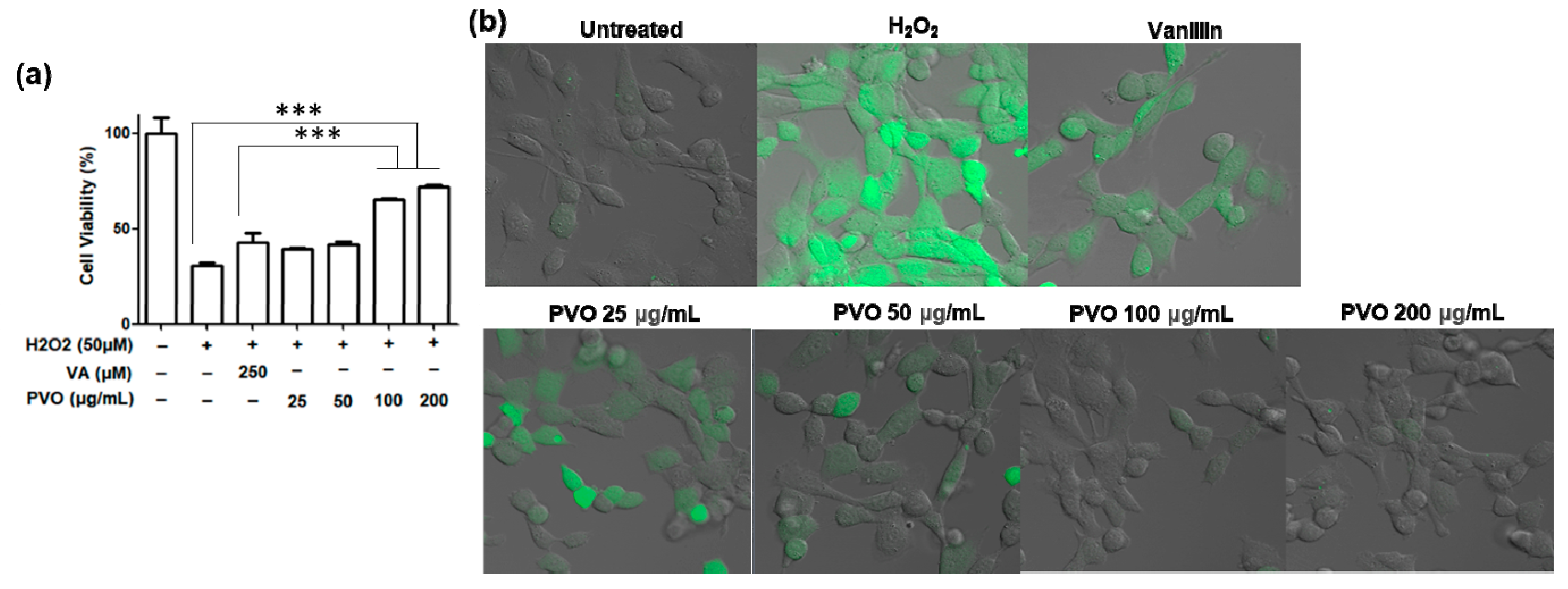 Nanomaterials 11 02571 g003