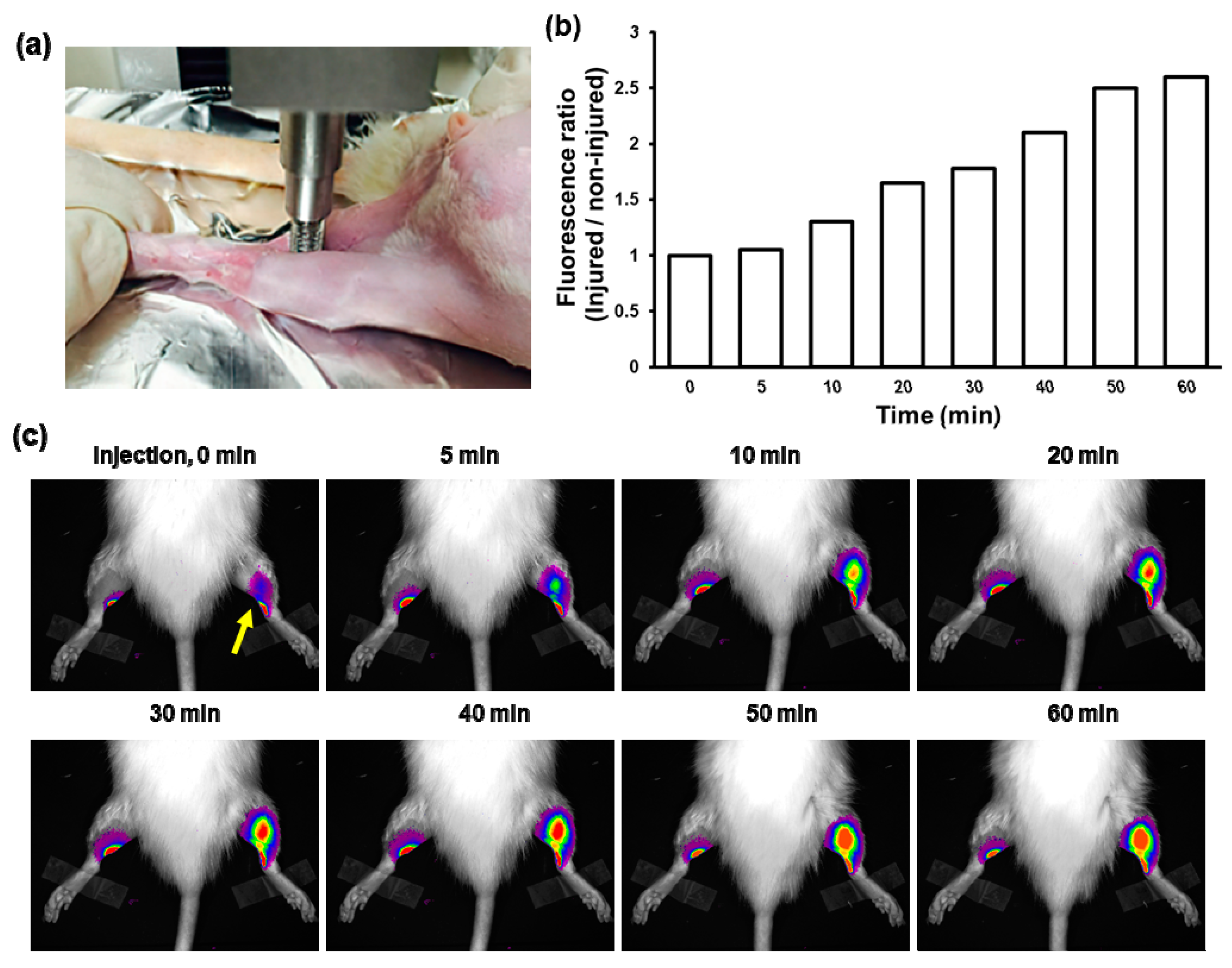 Nanomaterials 11 02571 g005