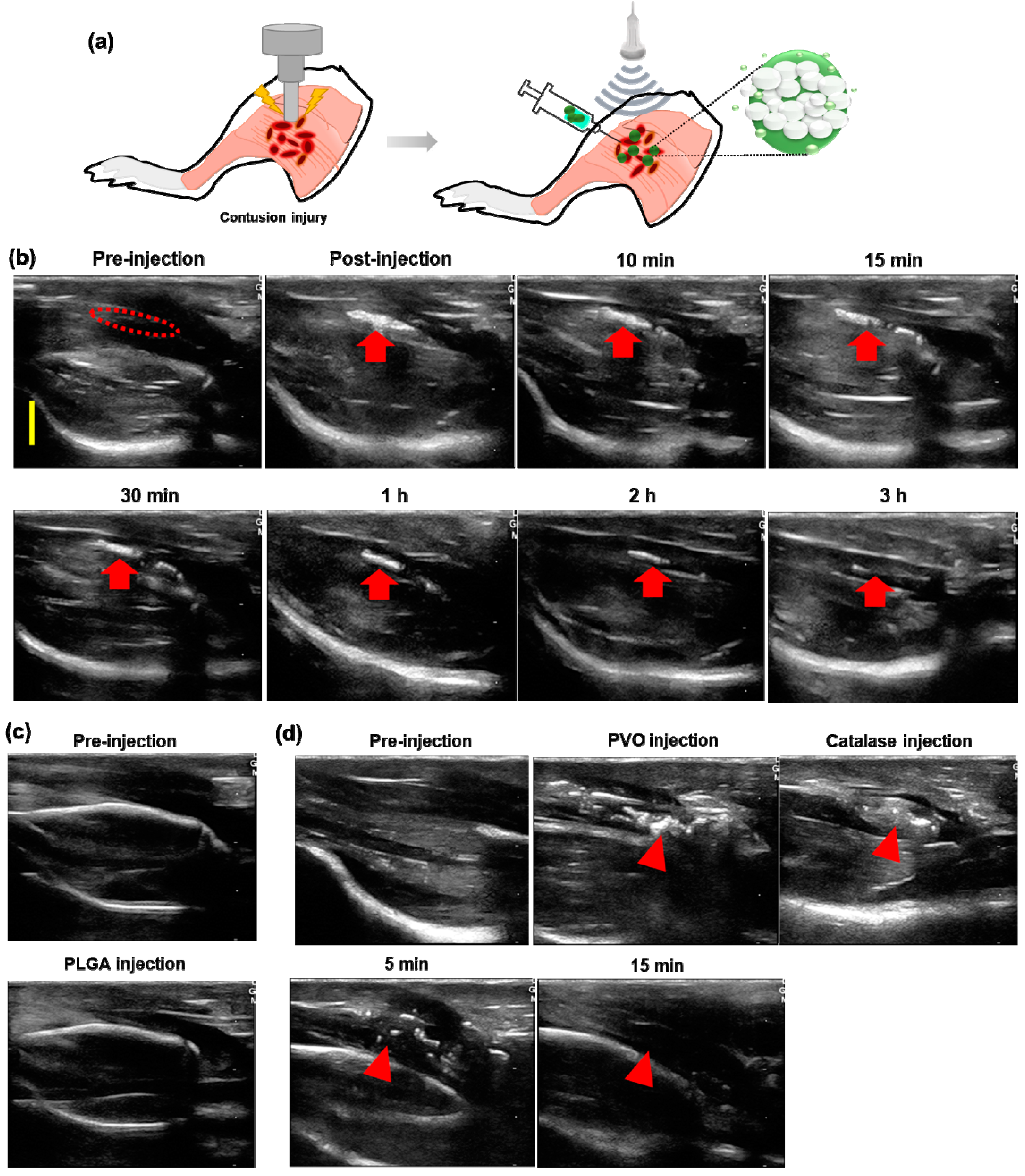 Nanomaterials 11 02571 g006
