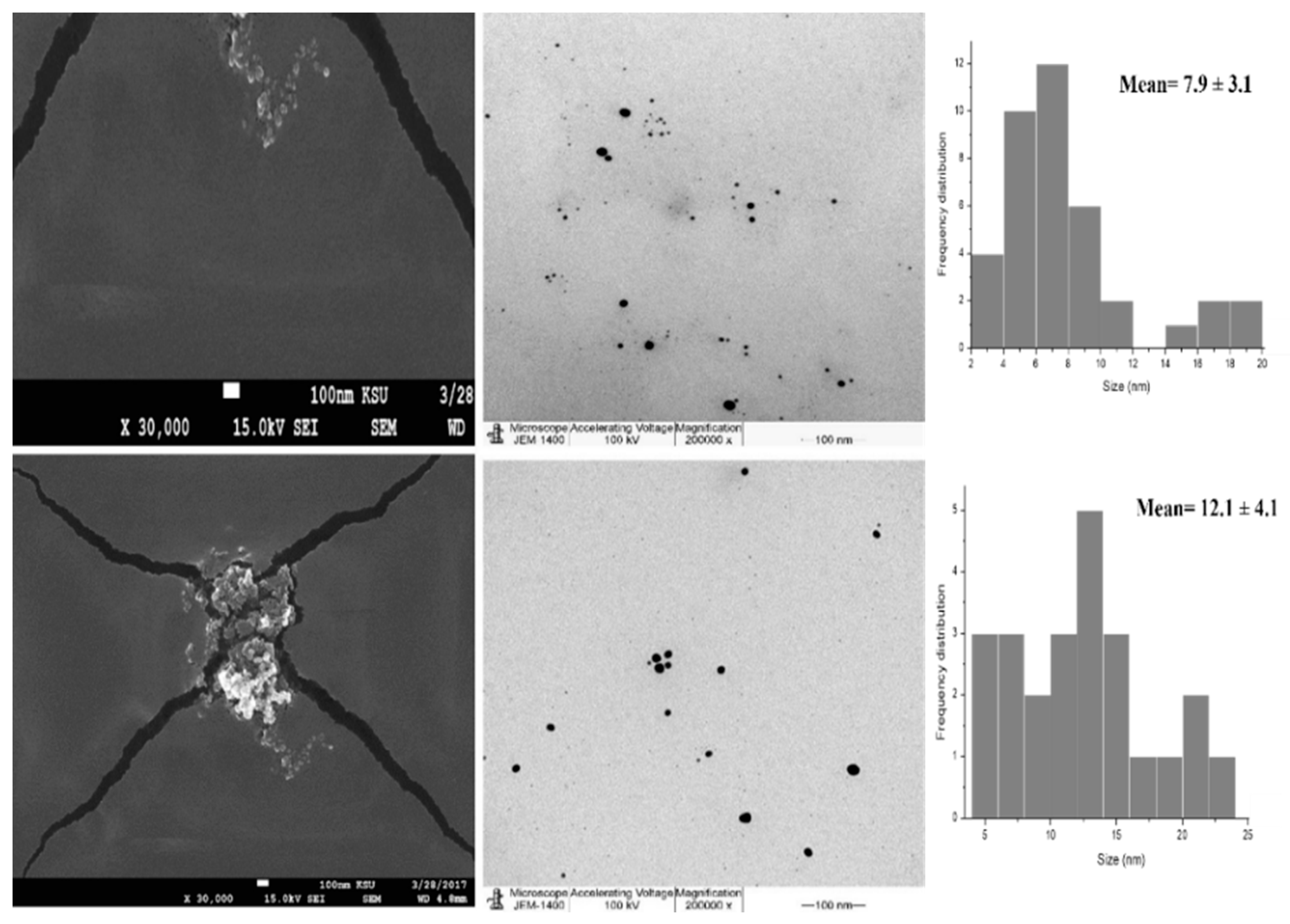 Nanomaterials 11 02573 g004