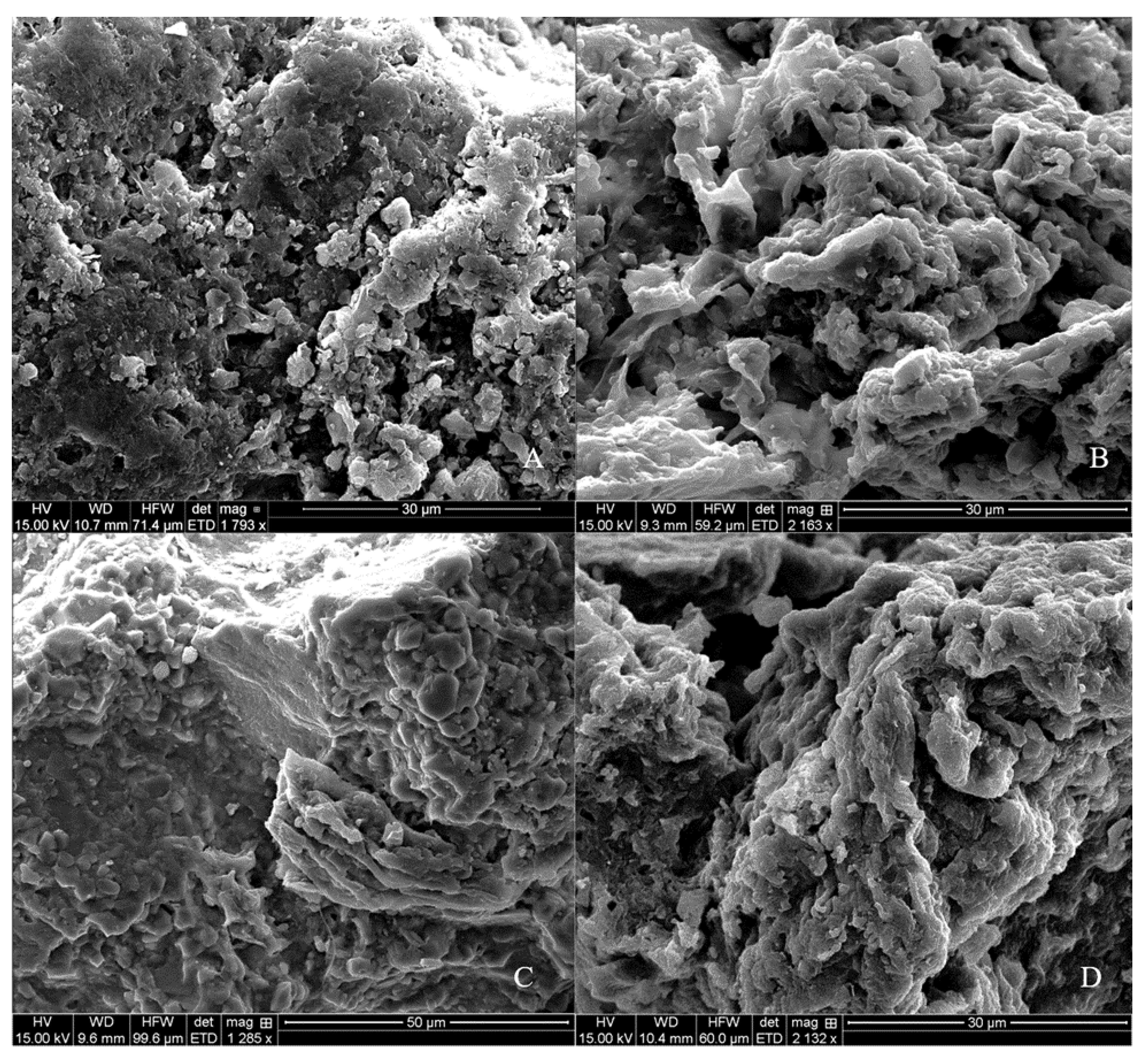Nanomaterials 11 02577 g005