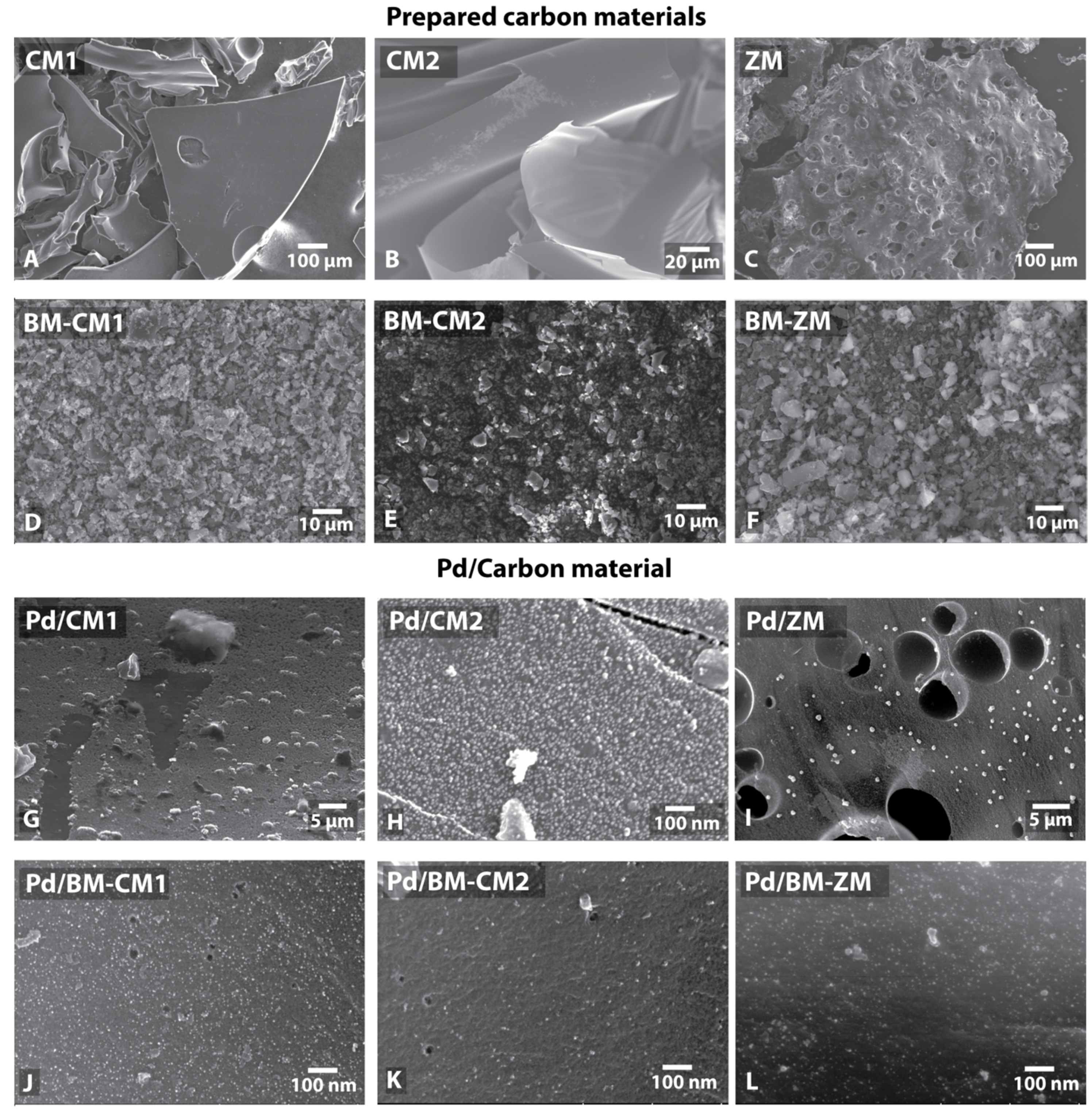 Nanomaterials 11 02599 g002