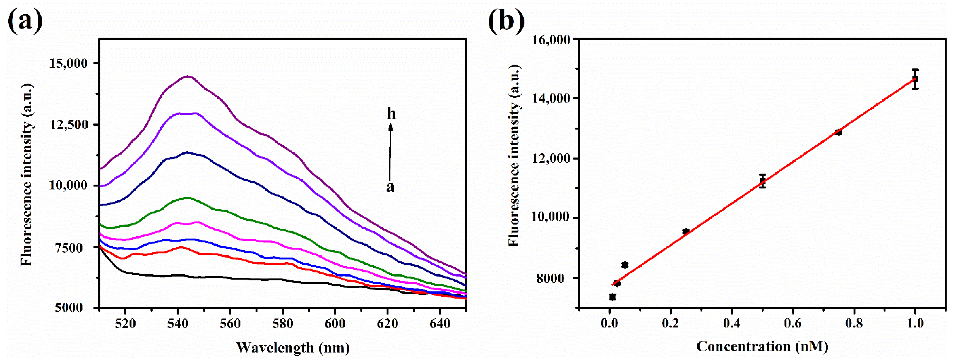 Nanomaterials 11 02608 g003