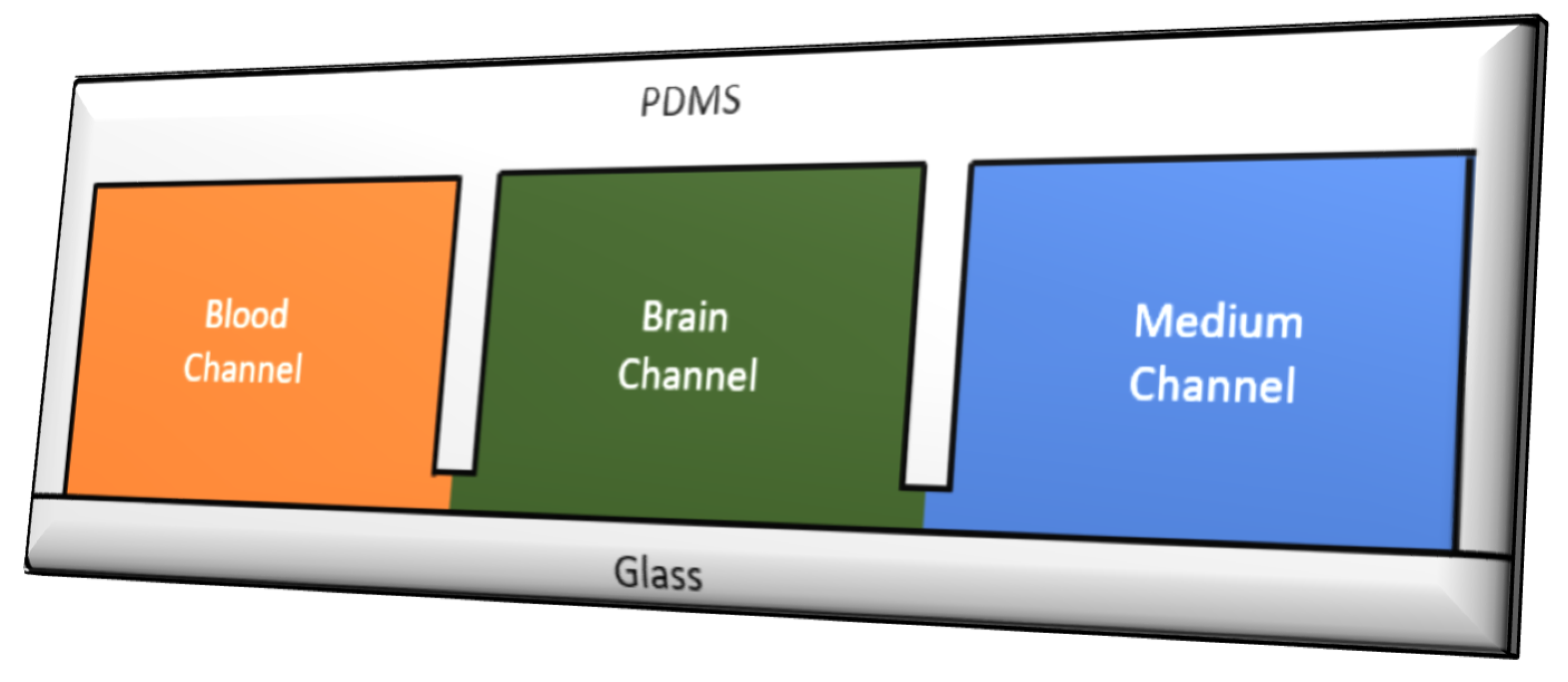 Nanomaterials 11 02632 g006b