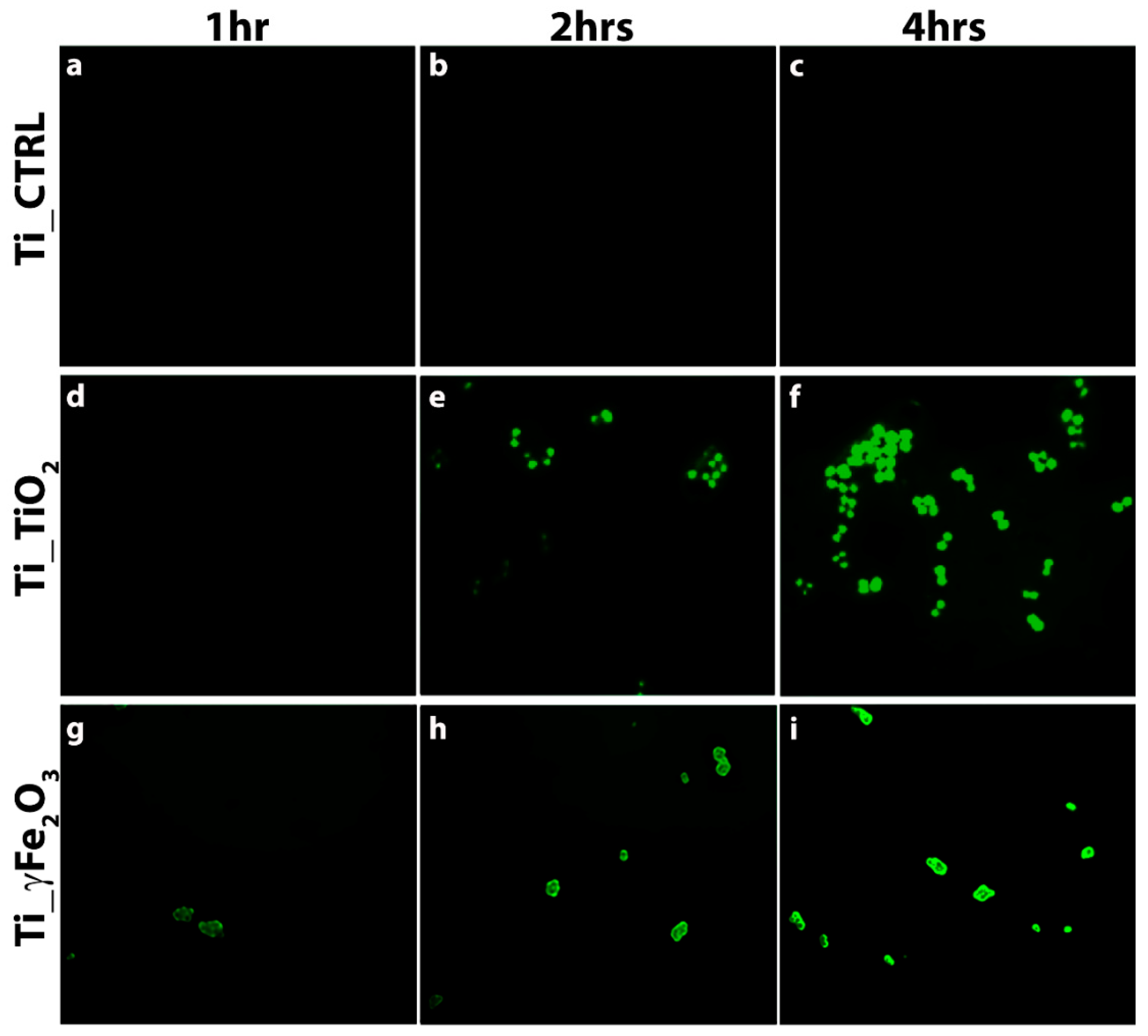 Nanomaterials 11 02634 g007
