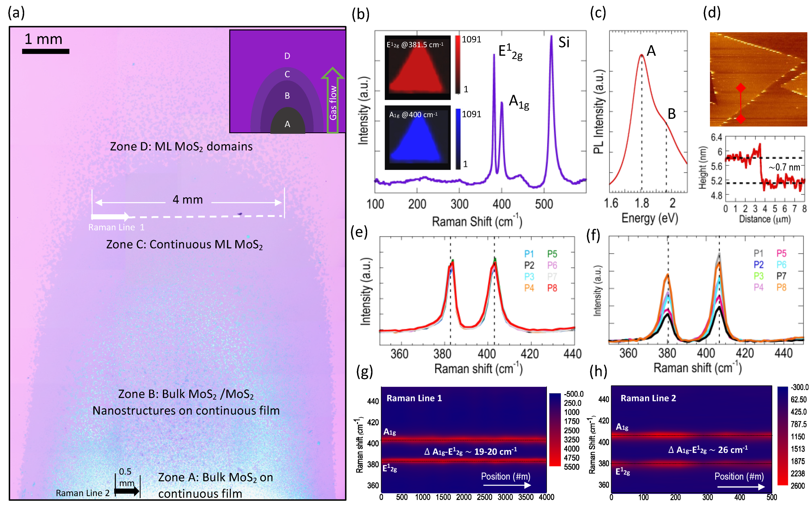 Nanomaterials 11 02642 g002
