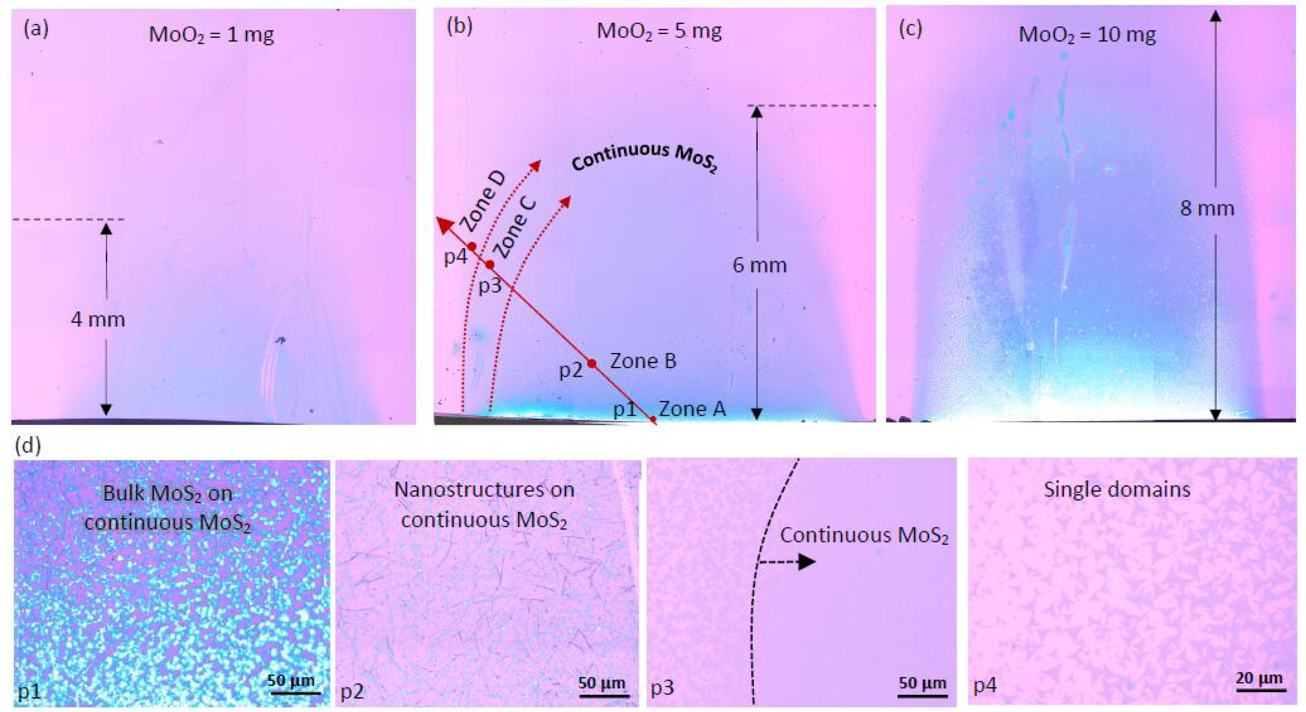 Nanomaterials 11 02642 g003