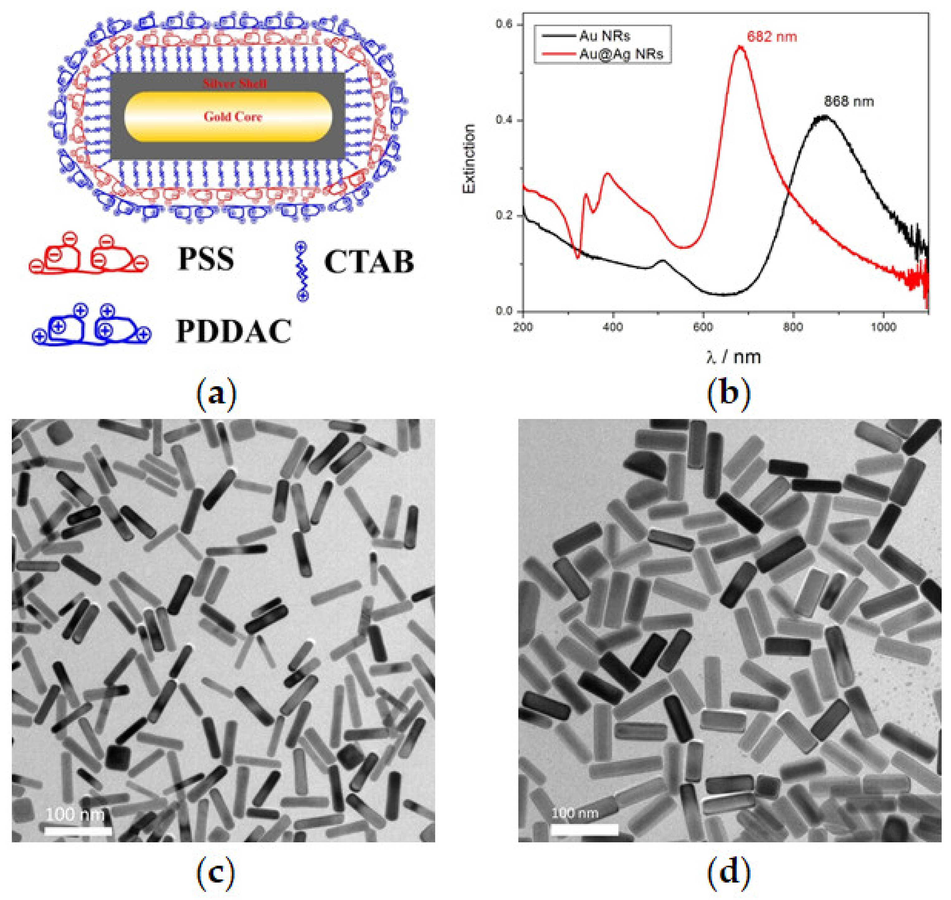 Nanomaterials 11 02656 g001