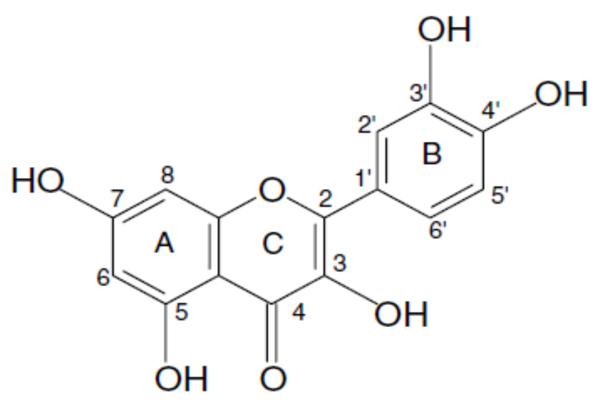 Nanomaterials 11 02658 g001 Nanomaterials 11 02658 g001