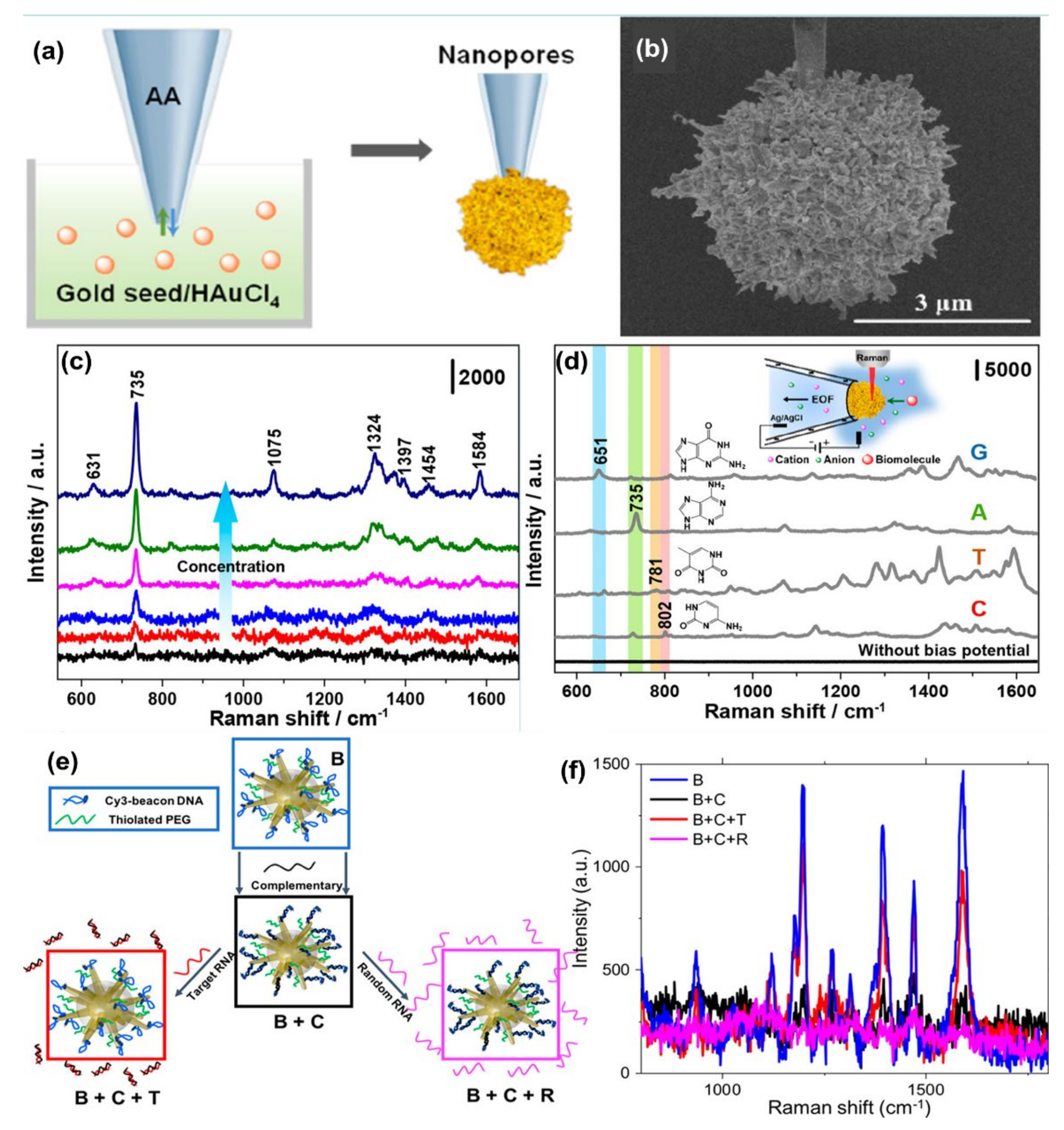Nanomaterials 11 02679 g005