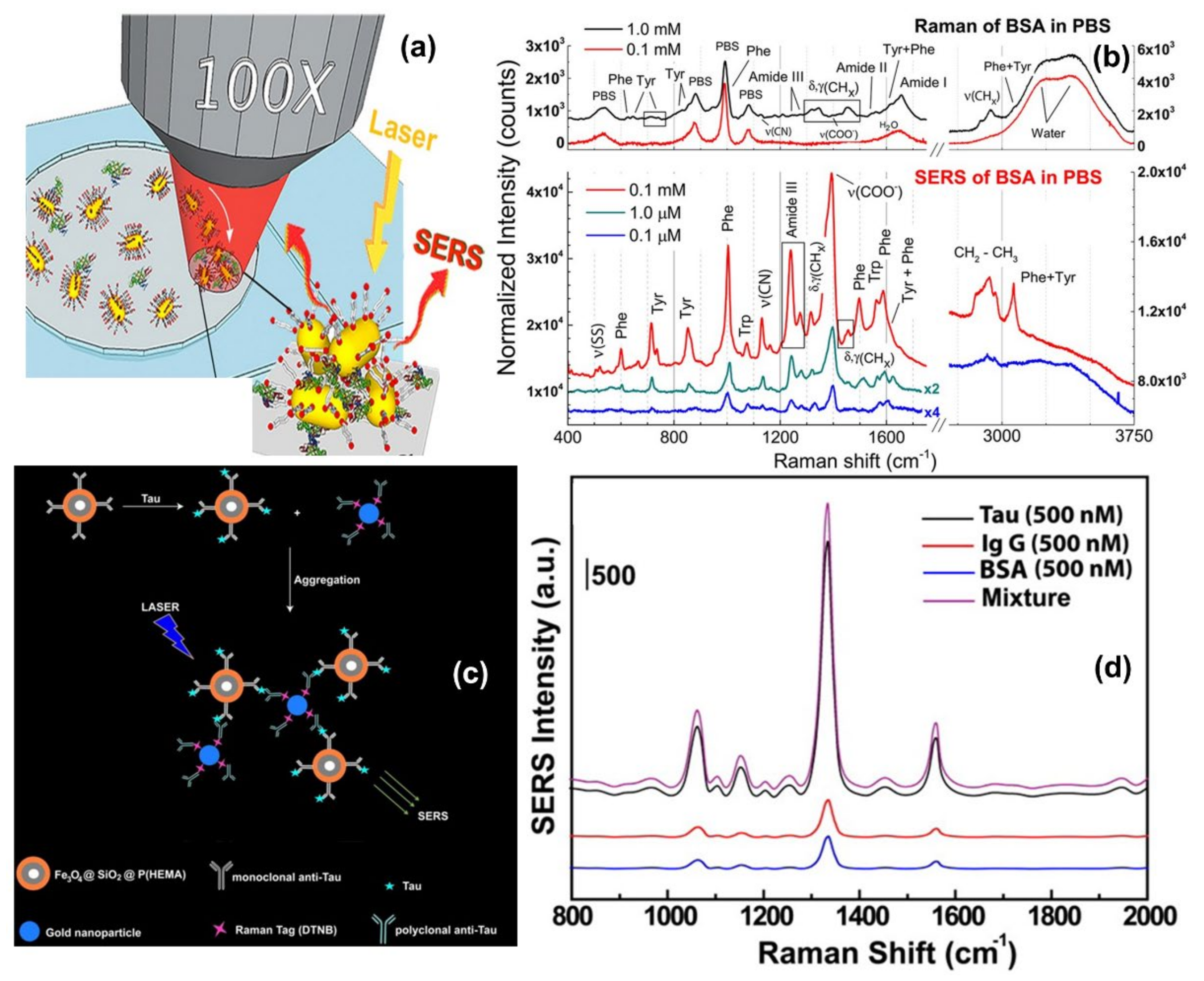 Nanomaterials 11 02679 g006